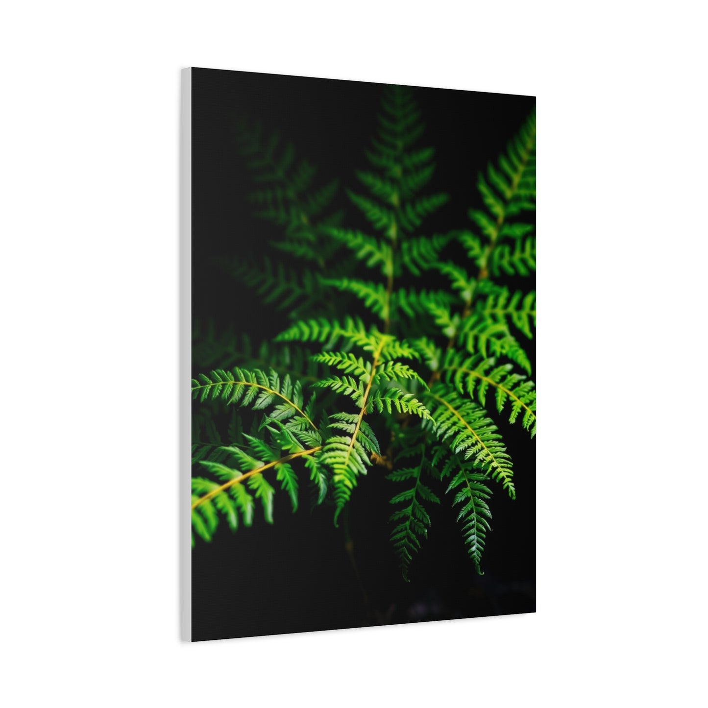Supreme Fern Art Collection Wall Art & Canvas Print