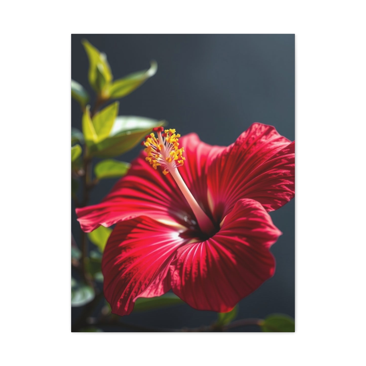 Hibiscus Flower Art Supreme Gallery Wall Art & Canvas Print