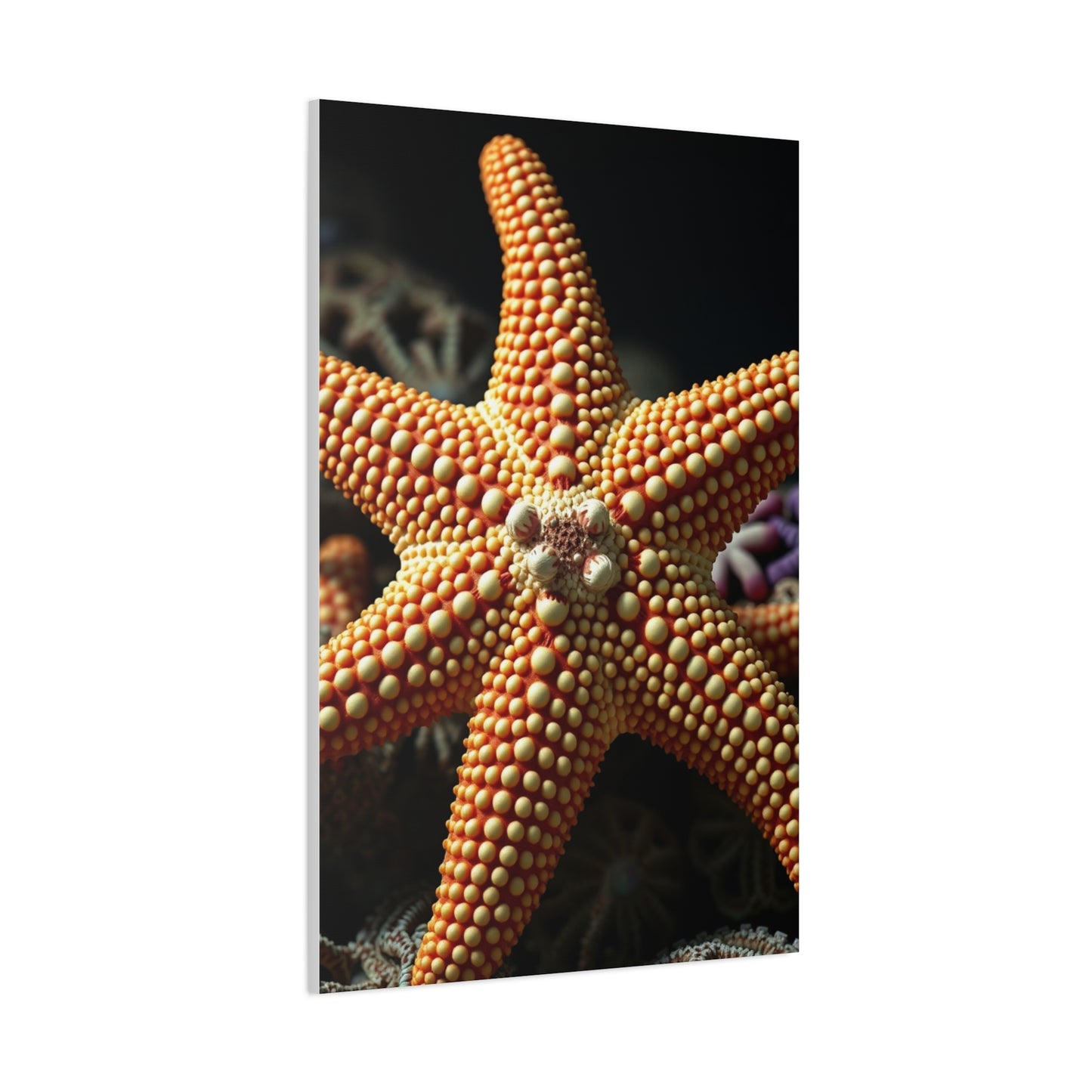 Supreme Starfish Art Collection Wall Art & Canvas Print