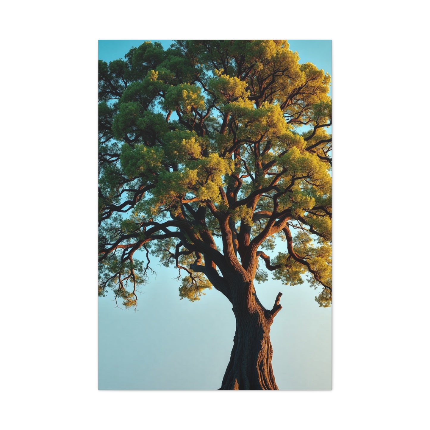 Oak Tree Art Supreme Gallery Wall Art & Canvas Print