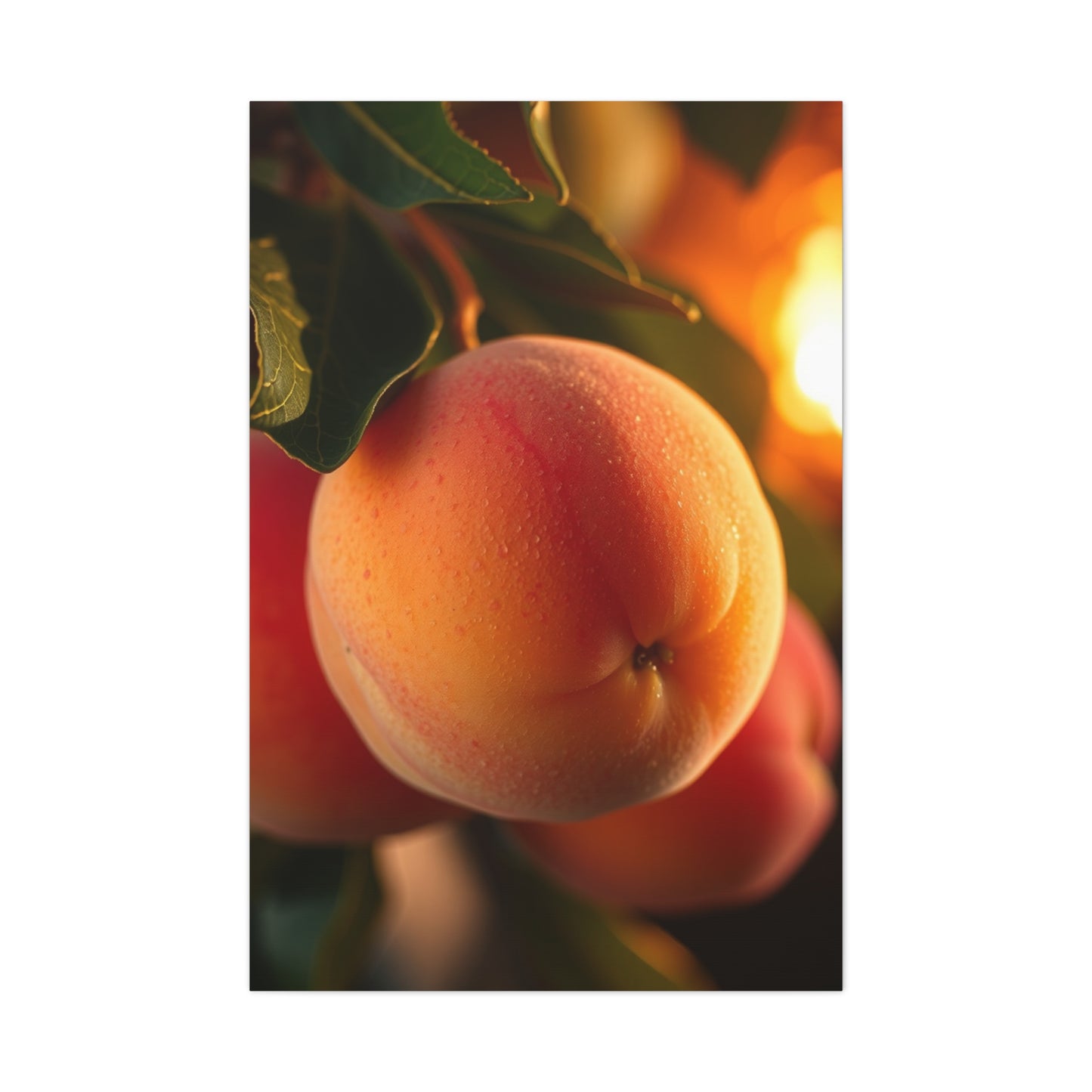 Elite Peach Art Vision Wall Art & Canvas Print