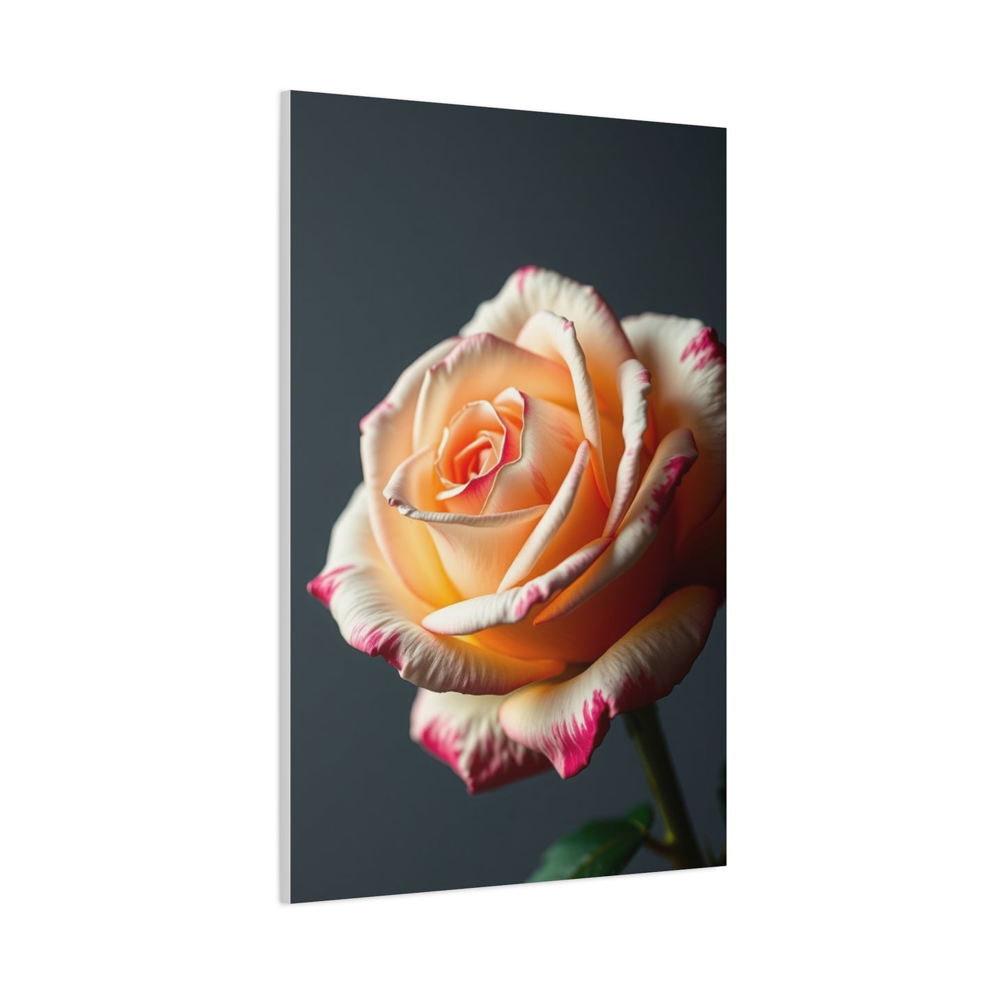 Elite Rose Flower Art Vision Wall Art & Canvas Print