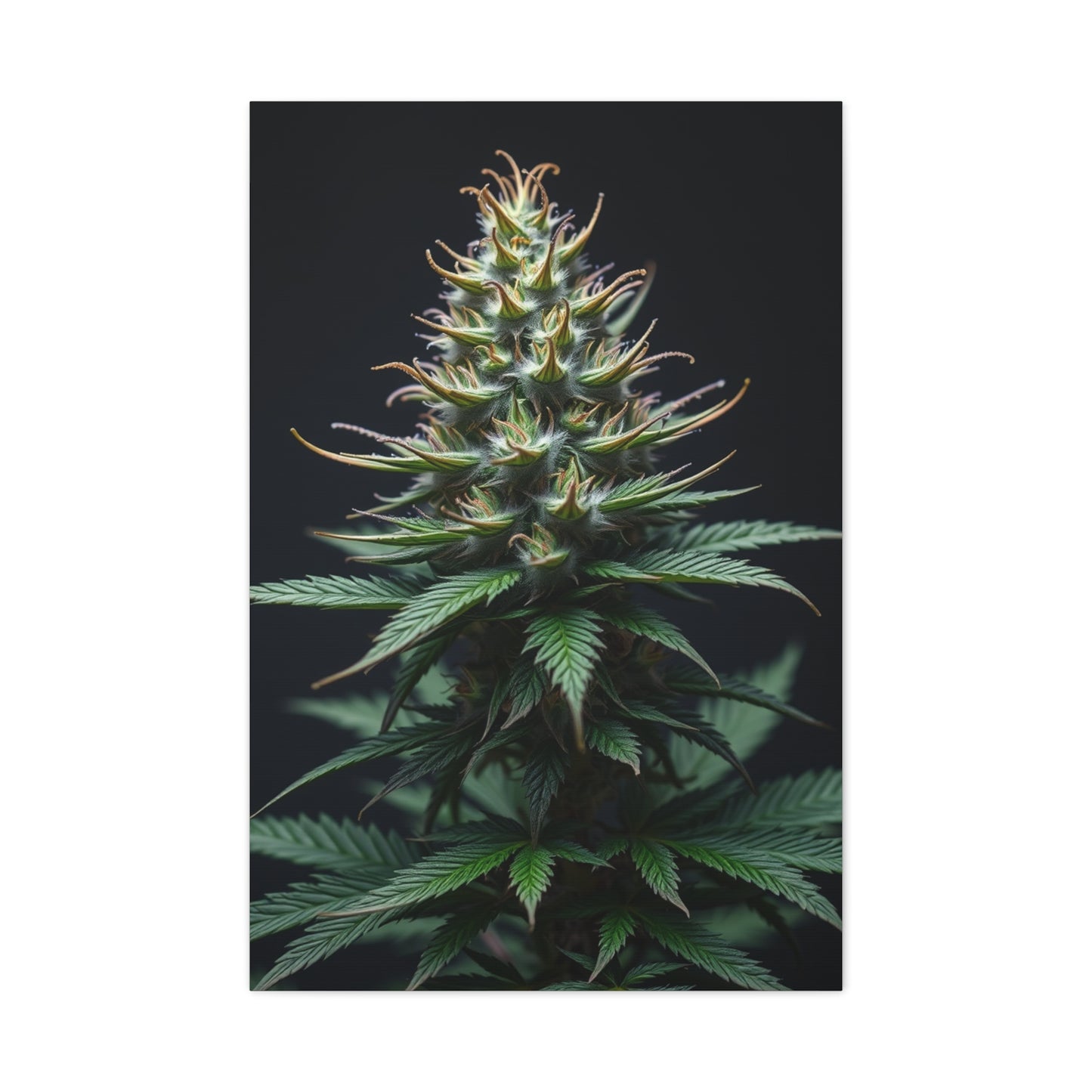 Lush Serenity Canvas Wall Art & Canvas Print