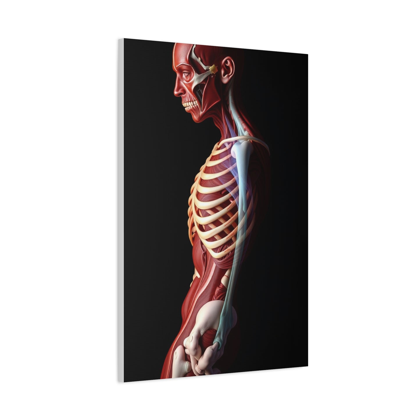 Supreme Anatomy Art Collection Wall Art & Canvas Print