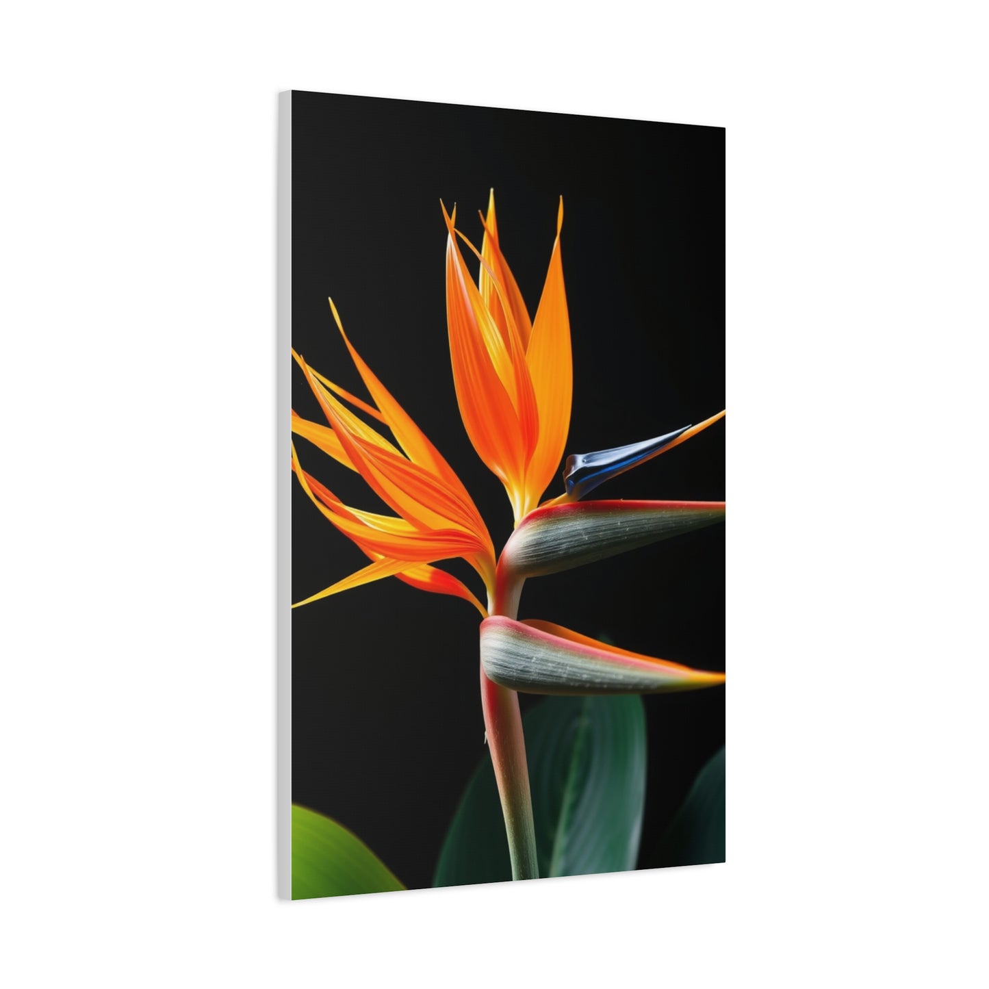 Bird of Paradise Plant Art Luxury Canvas Wall Art & Canvas Print