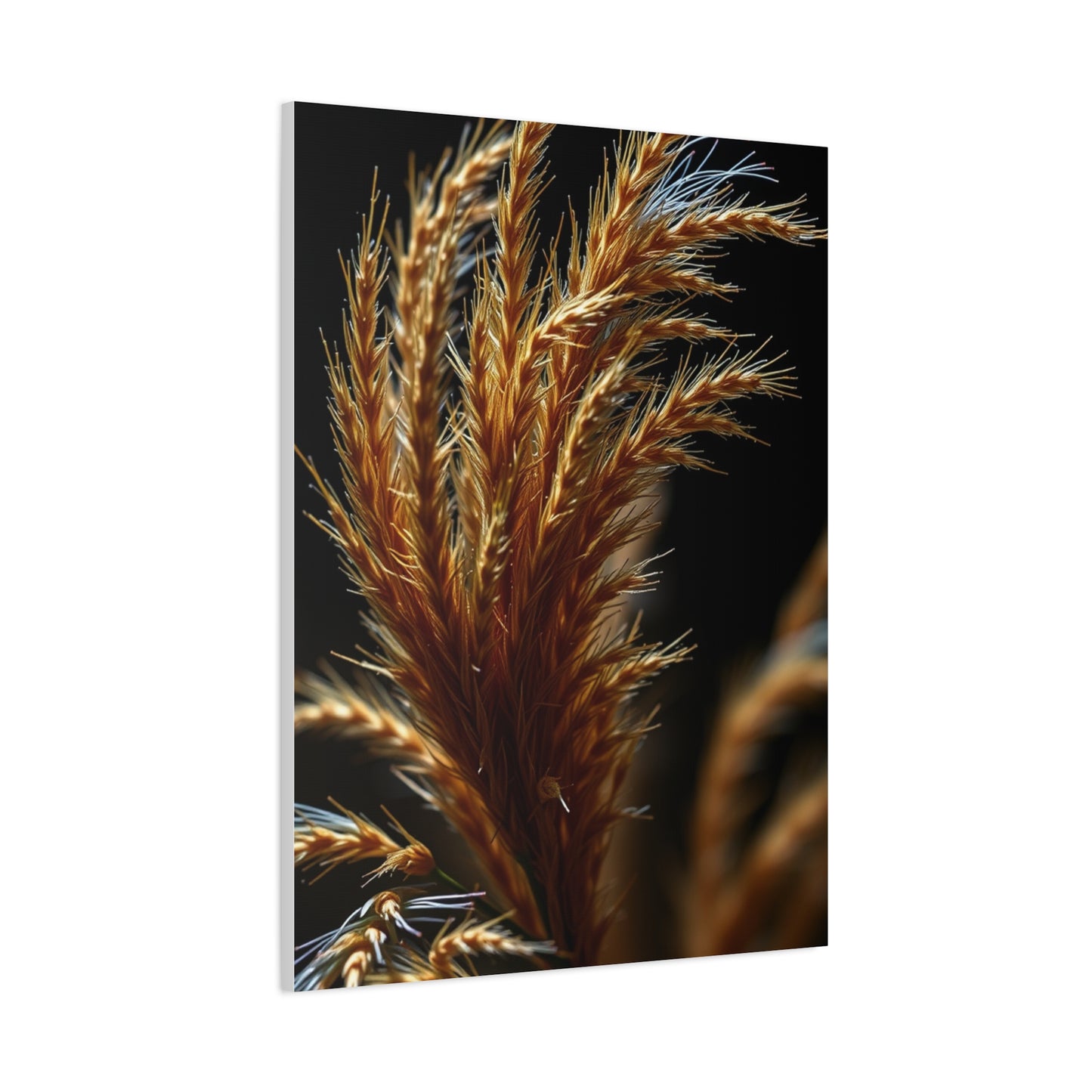 Natures Essence Canvas Wall Art & Canvas Print