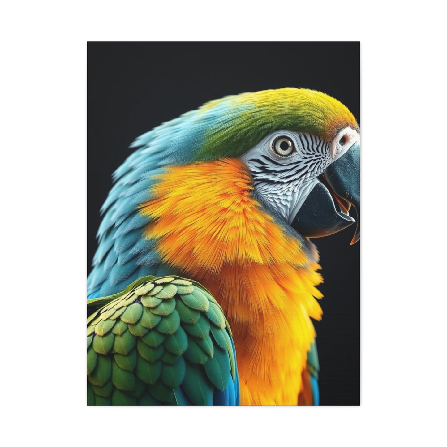 Parrot Art Luxury Canvas Wall Art & Canvas Print