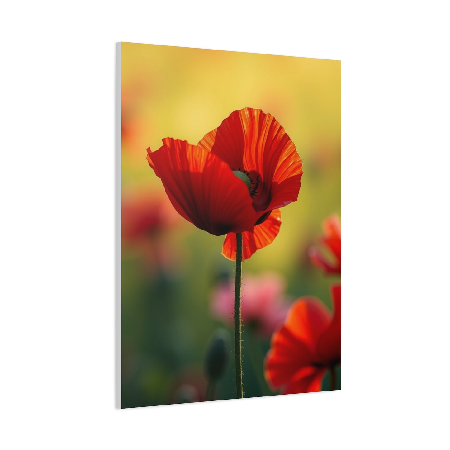 Masterpiece Poppy Flower Art Vision Wall Art & Canvas Print