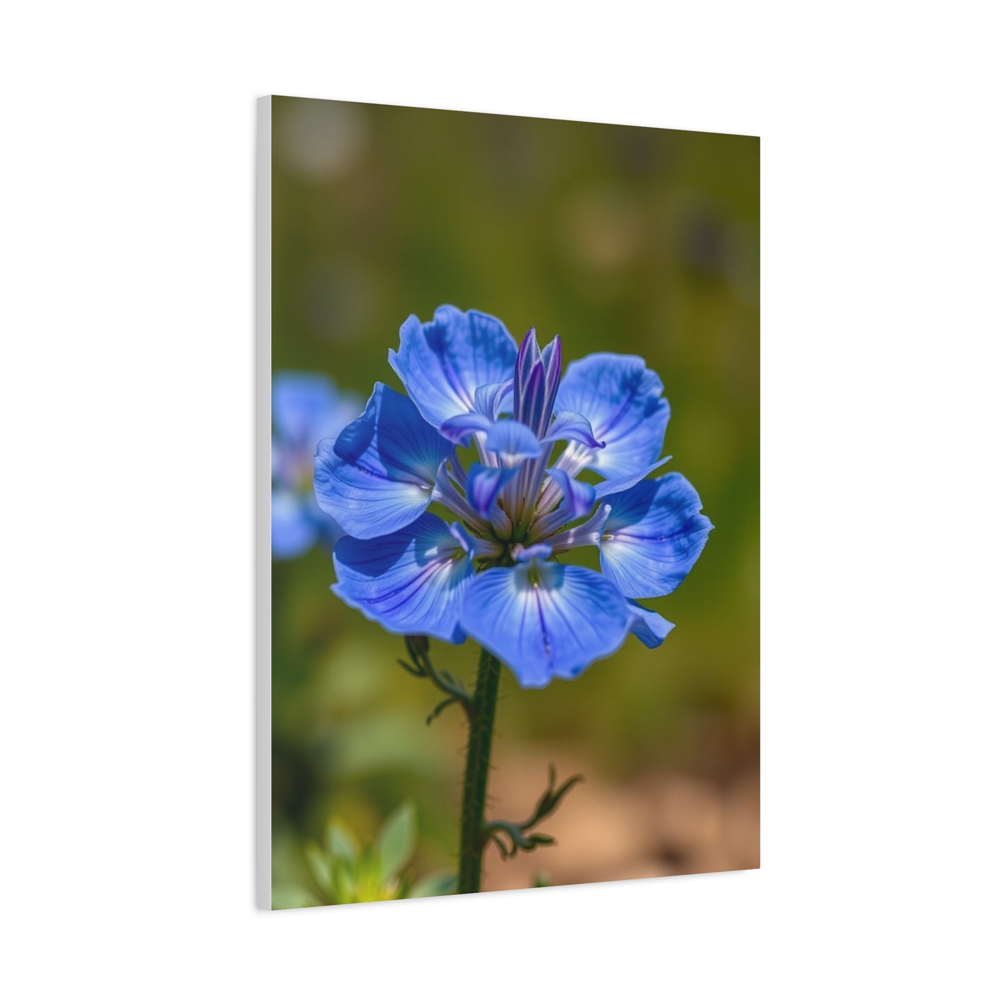 Supreme Bluebonnet Flower Art Collection Wall Art & Canvas Print
