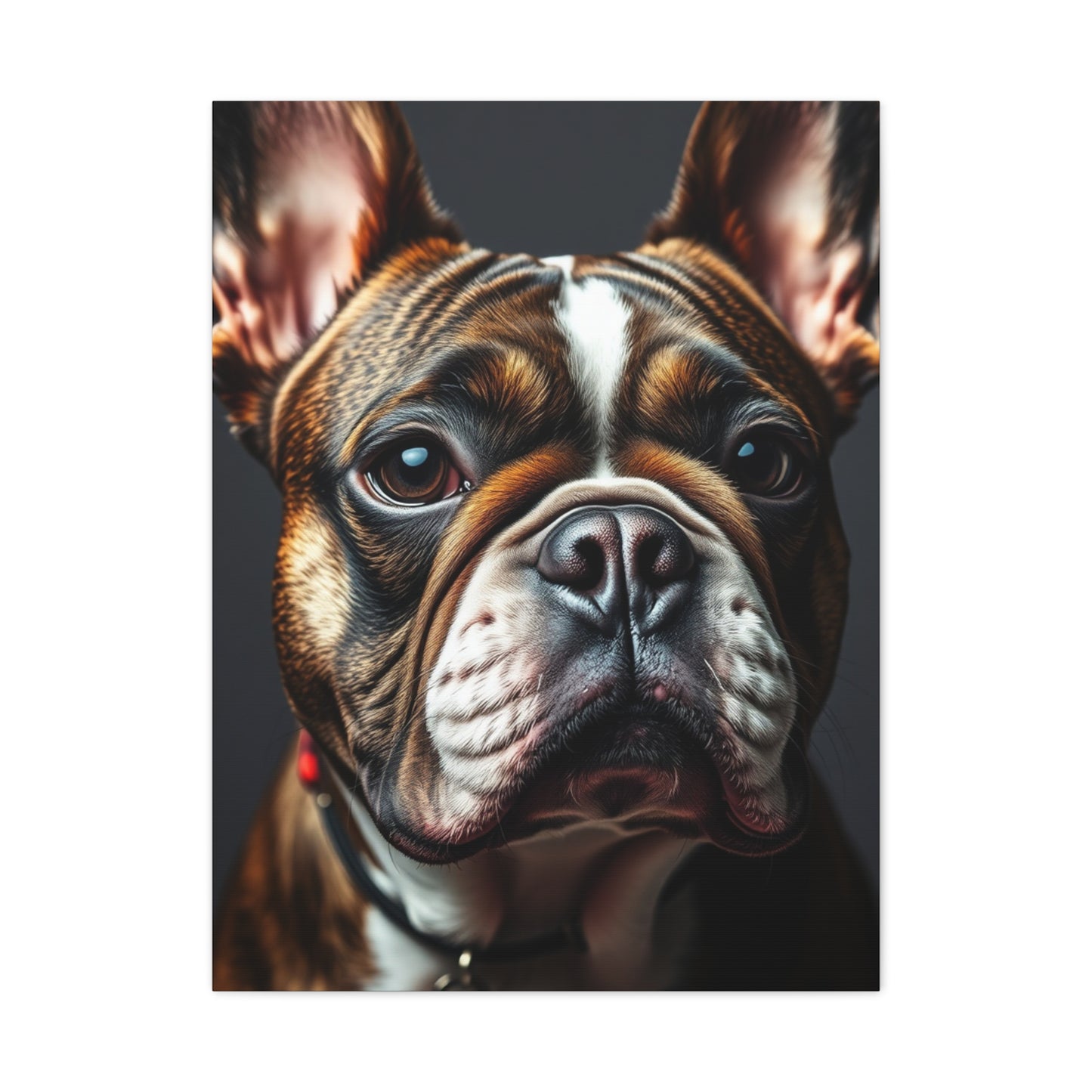 Supreme French Bulldog Art Collection Wall Art & Canvas Print
