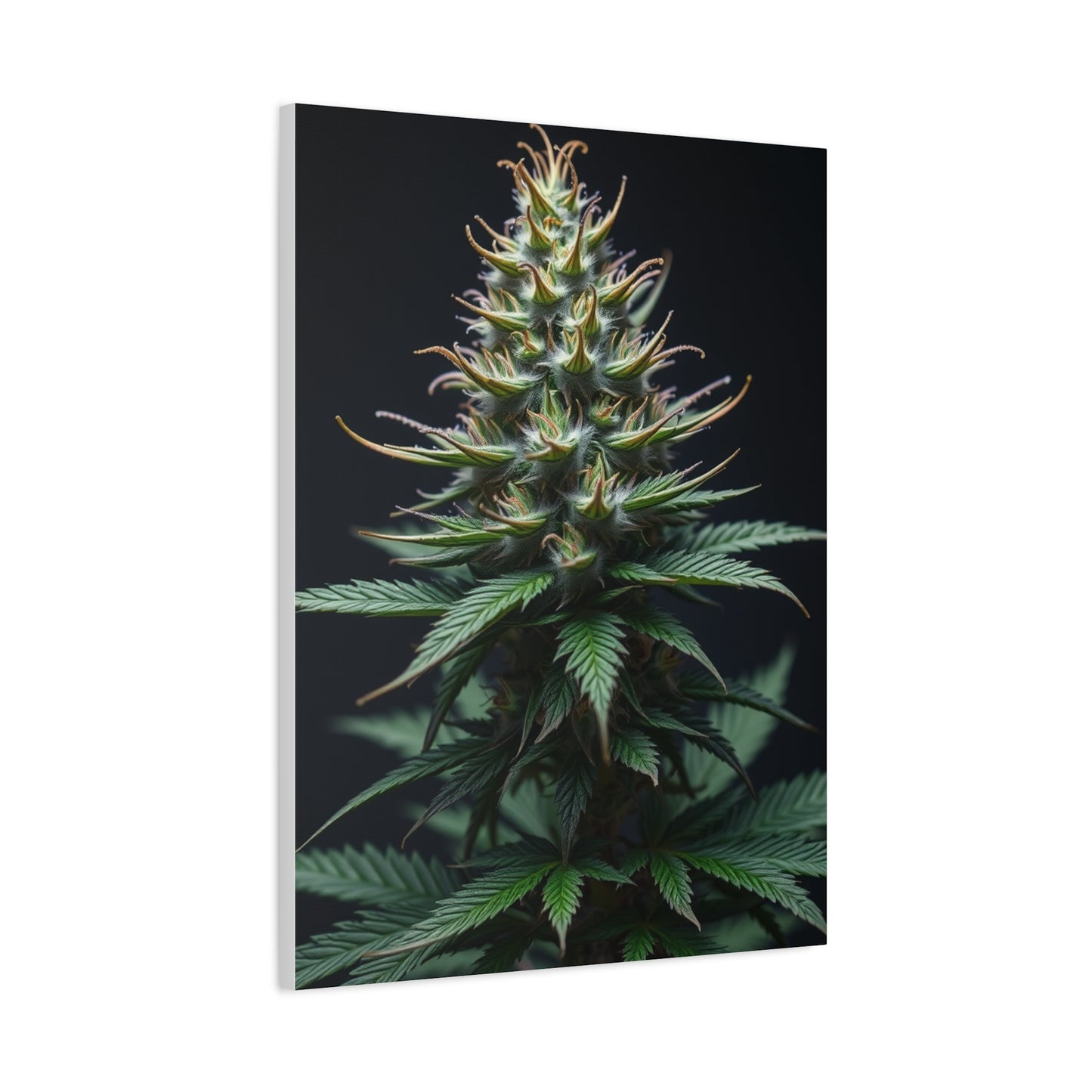 Lush Serenity Canvas Wall Art & Canvas Print