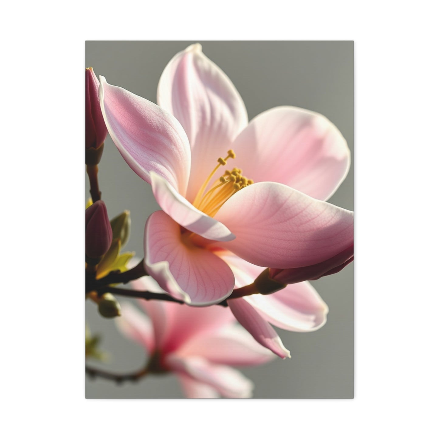 Magnolia Art Luxury Canvas Wall Art & Canvas Print