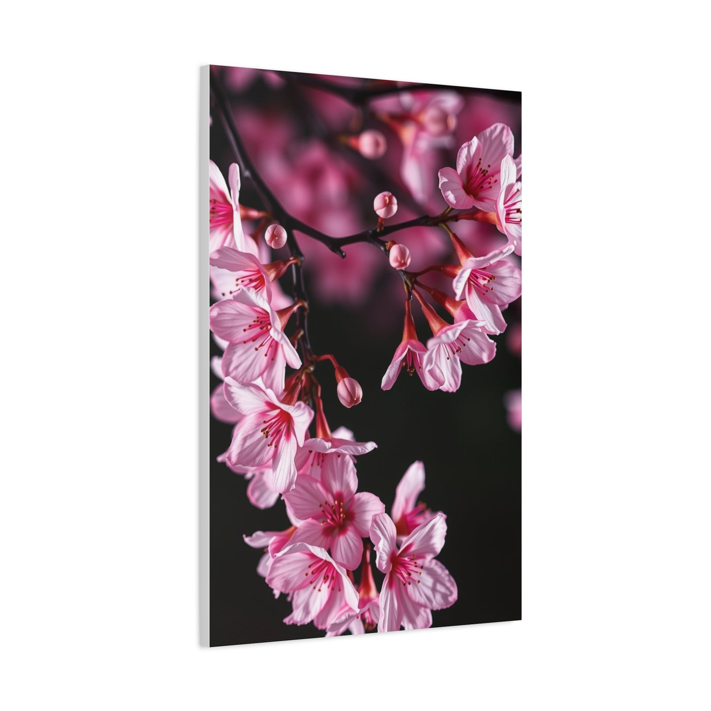 Supreme Cherry Blossom Wall Art Collection Wall Art & Canvas Print