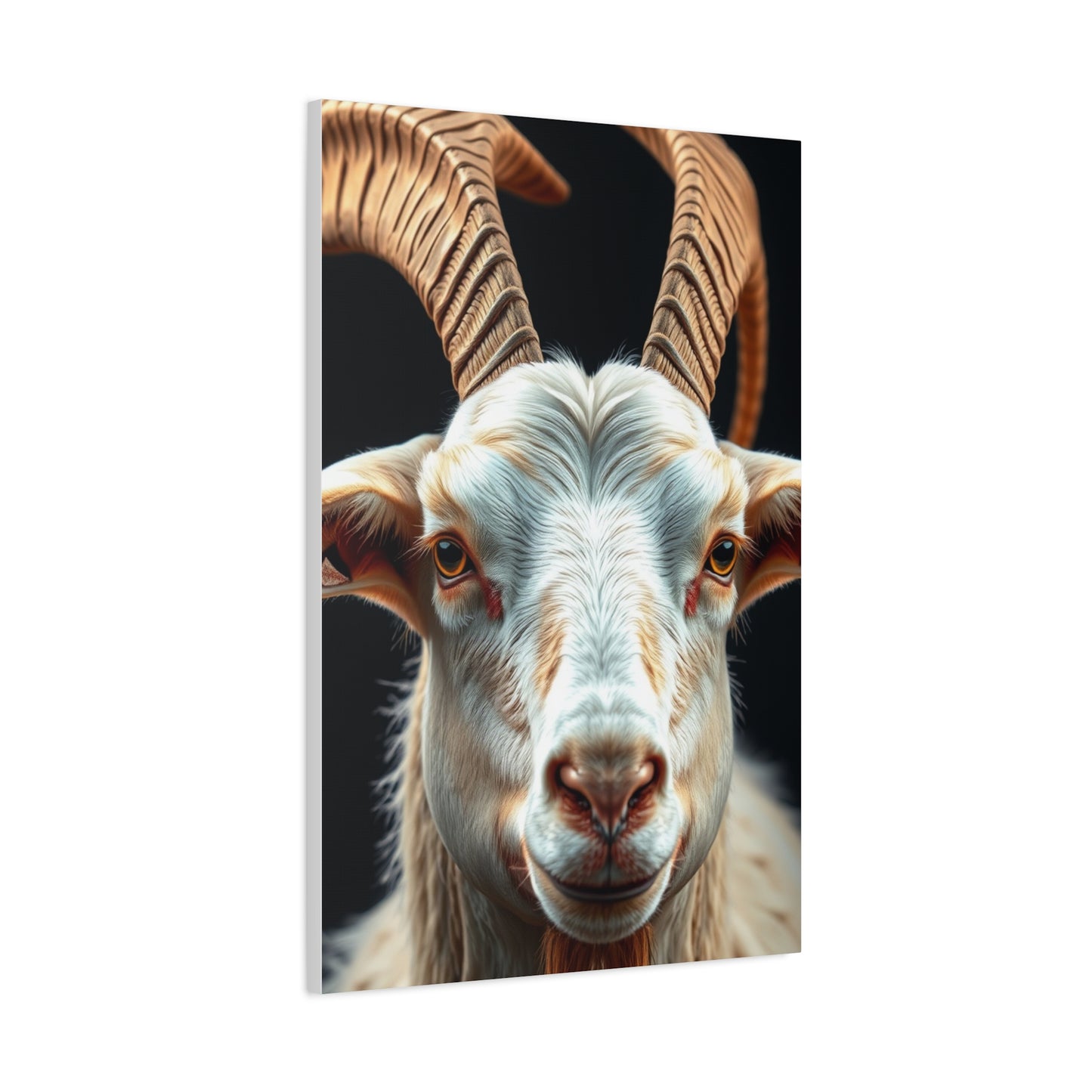 Sublime Goat Tableau Wall Art & Canvas Print