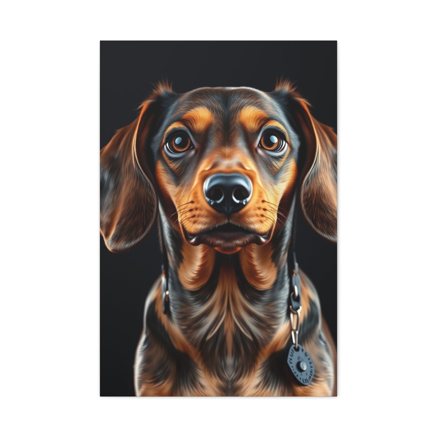 Supreme Dachshund Art Collection Wall Art & Canvas Print