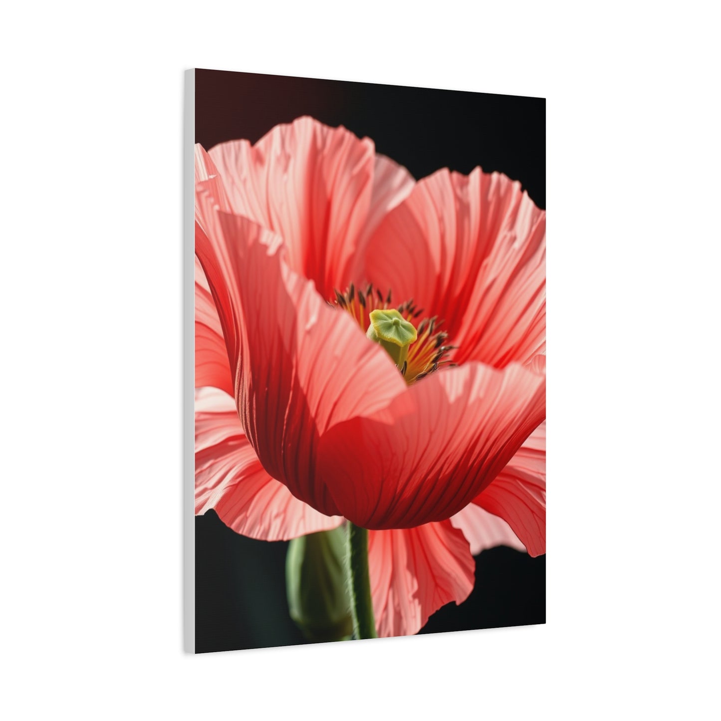 Supreme Poppy Flower Art Collection Wall Art & Canvas Print