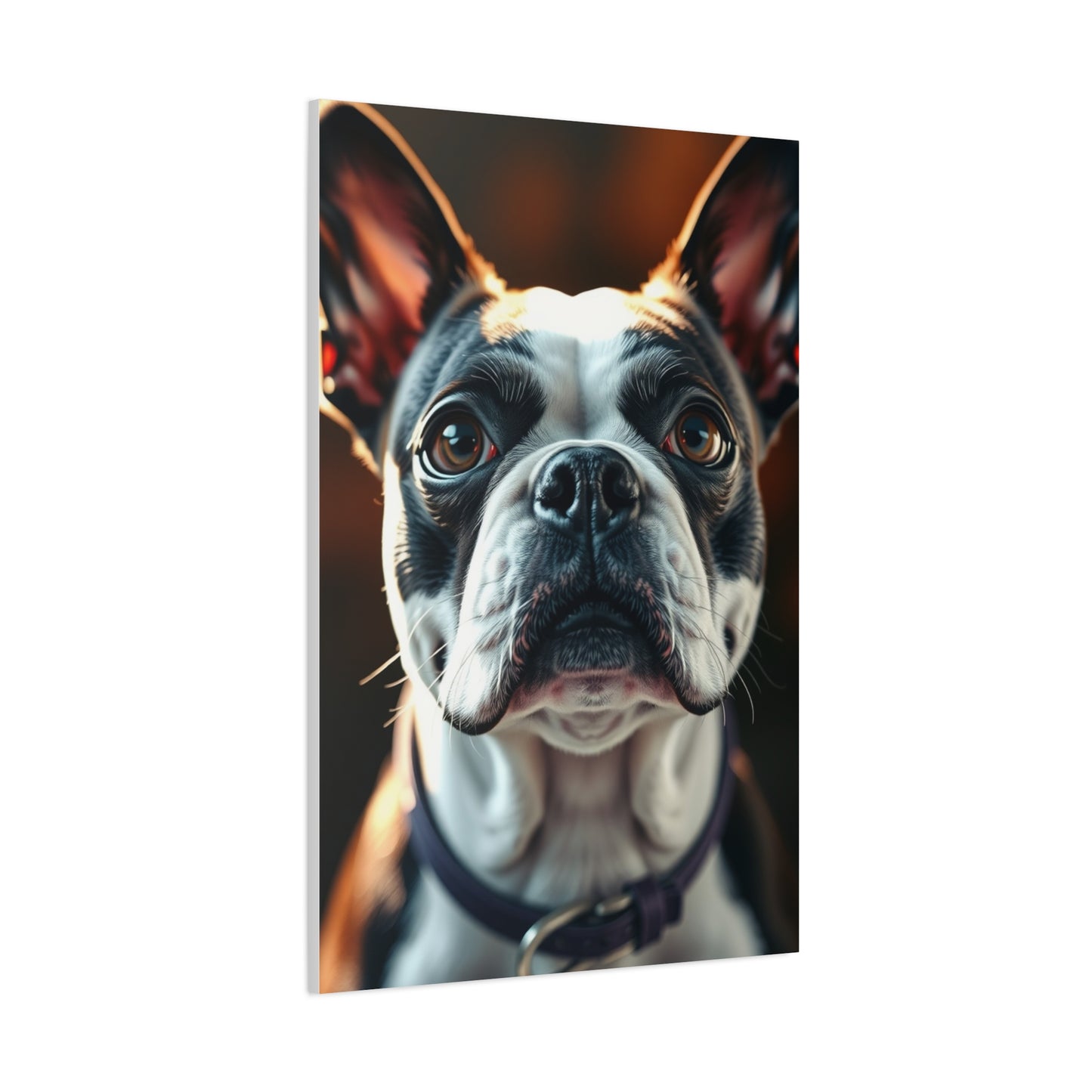 Collection Boston Terrier Art Art Wall Art & Canvas Print