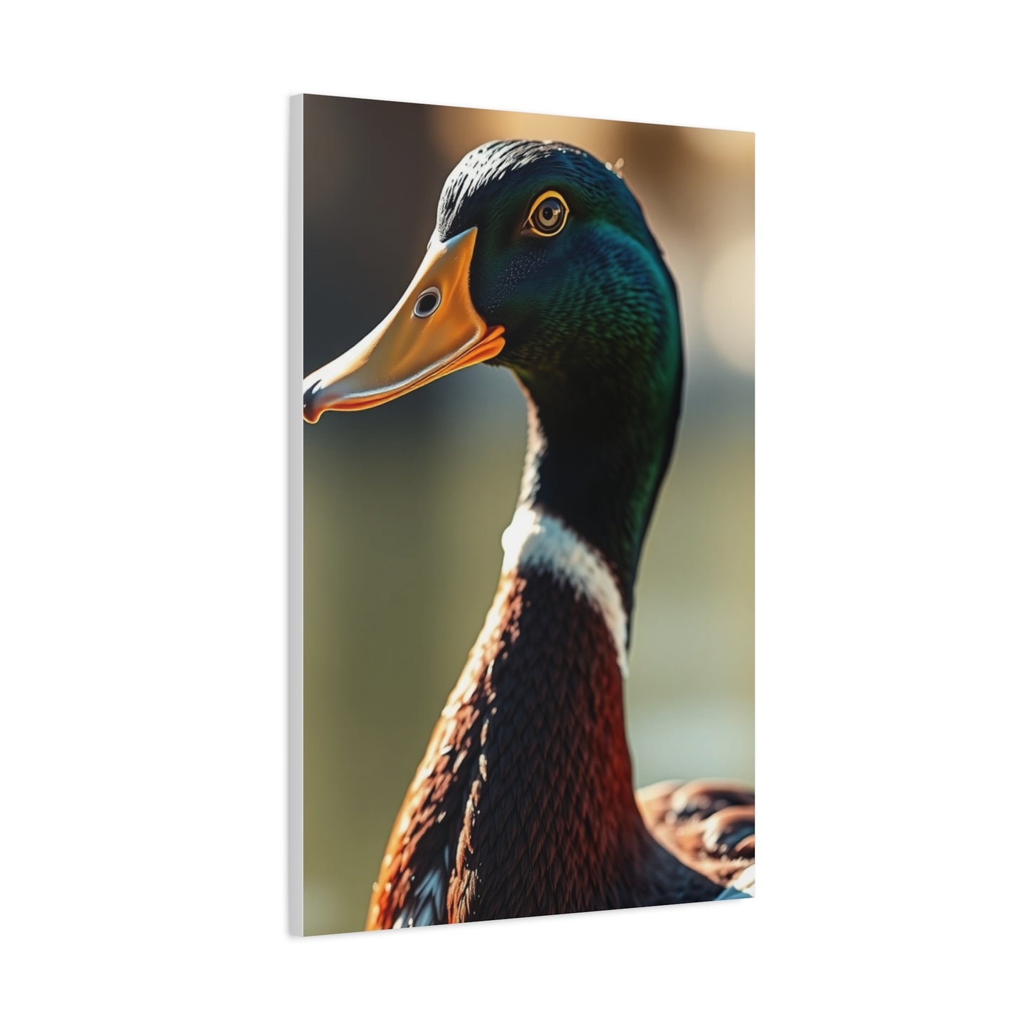 Supreme Duck Art Collection Wall Art & Canvas Print