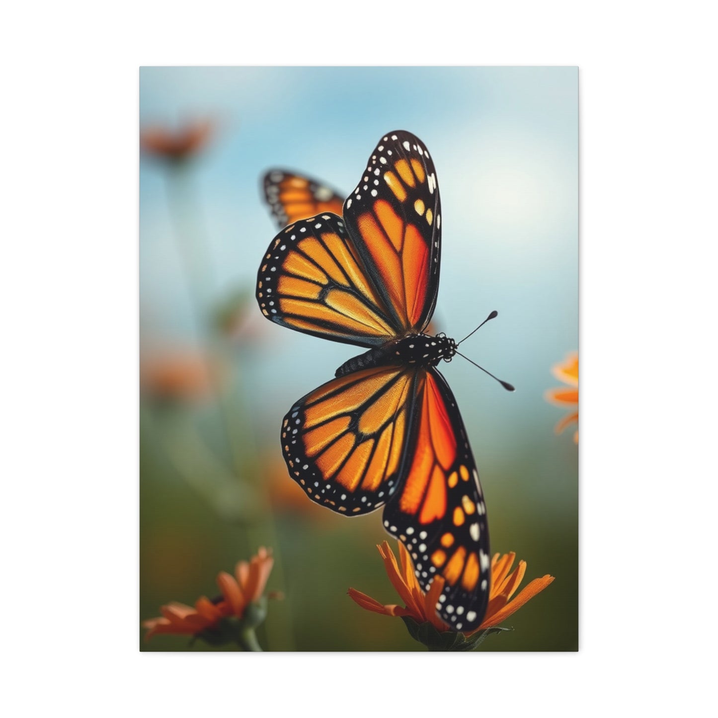 Monarch Butterflies Art Supreme Gallery Wall Art & Canvas Print
