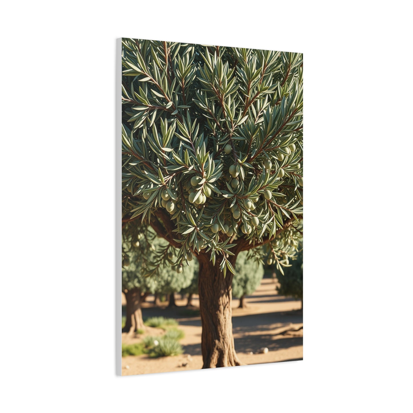 Olive Tree Art Supreme Gallery Wall Art & Canvas Print