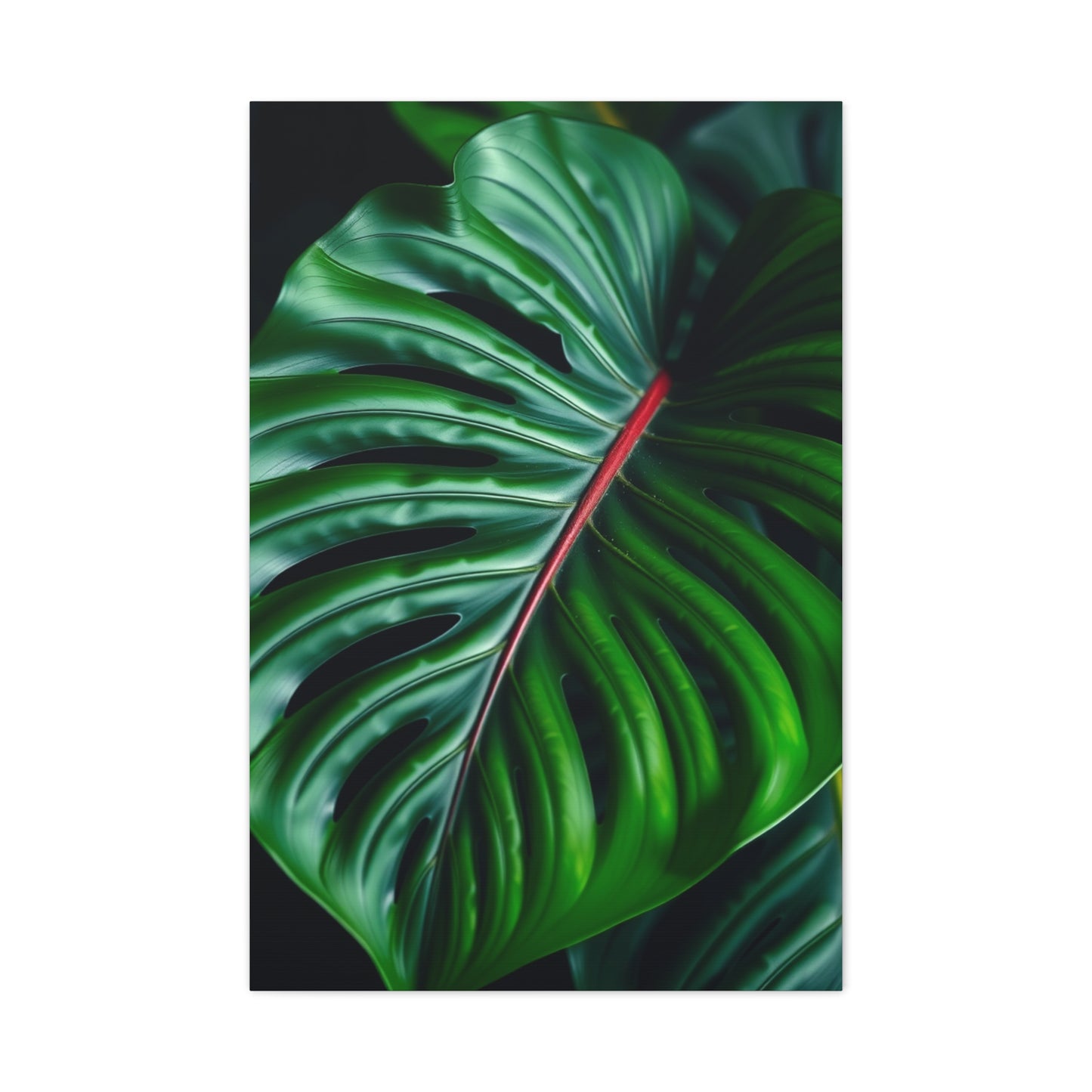 Monstera Plant Art Supreme Gallery Wall Art & Canvas Print