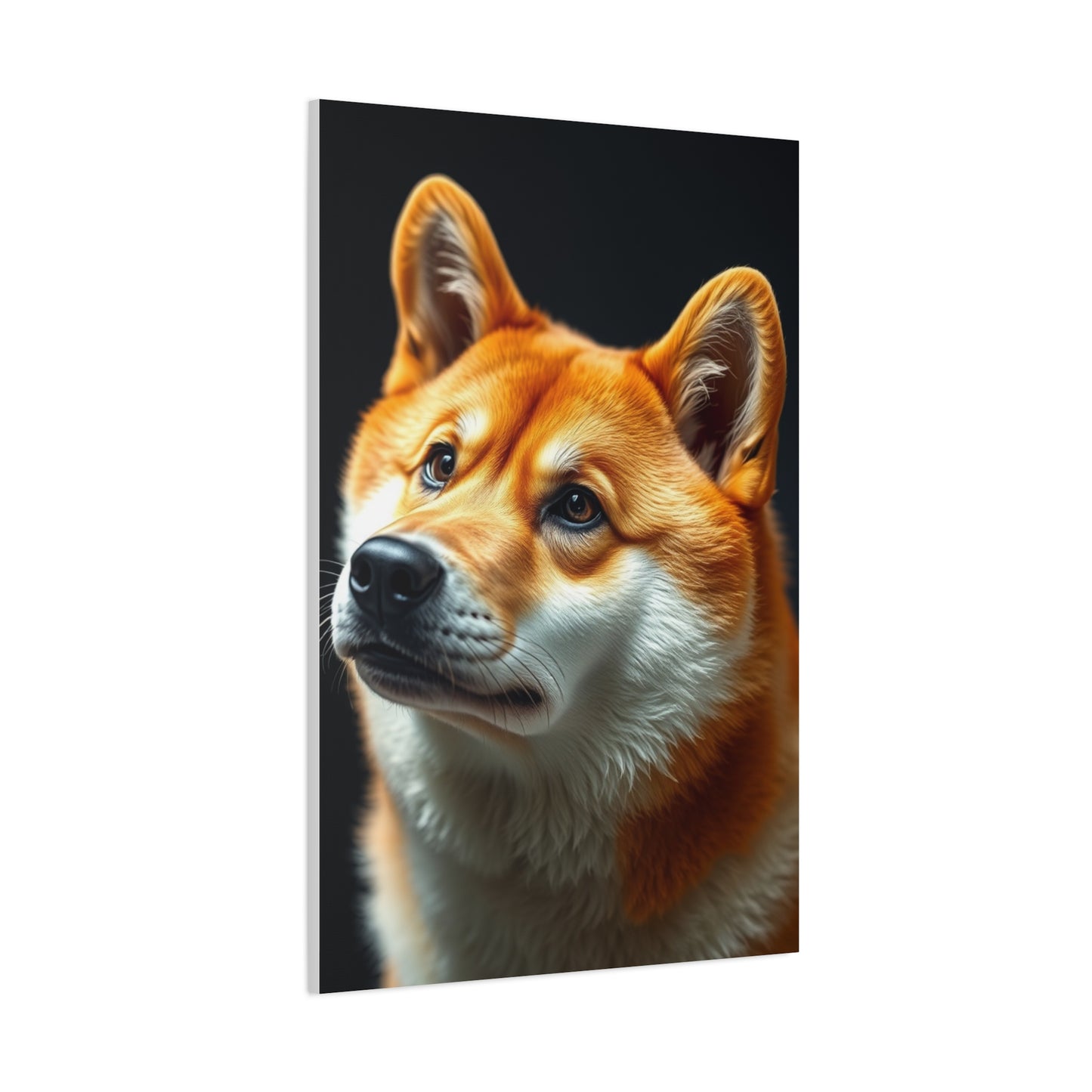 Shiba Inu Dog Art Luxury Canvas Wall Art & Canvas Print