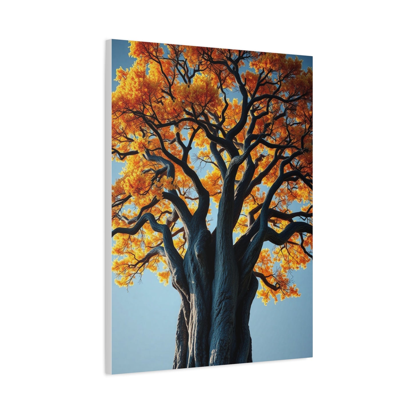 Oak Tree Art Supreme Gallery Wall Art & Canvas Print