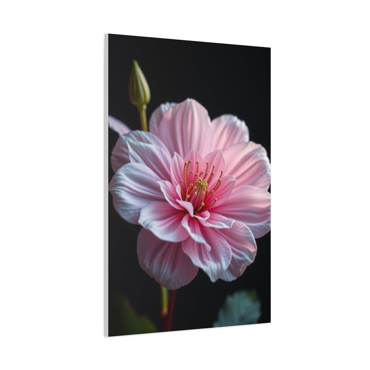 Aesthetic Flora Canvas Wall Art & Canvas Print