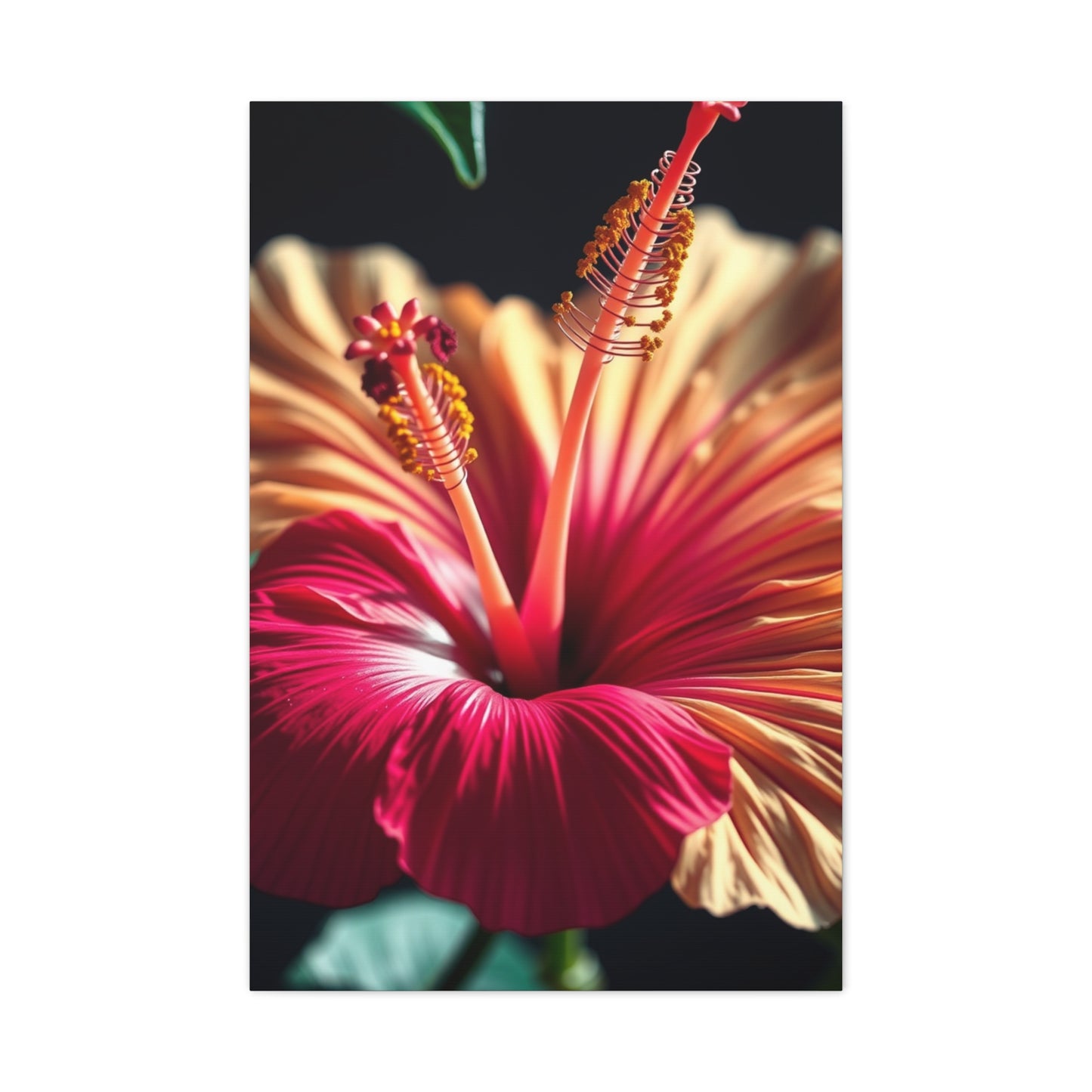 Elite Hibiscus Flower Art Vision Wall Art & Canvas Print