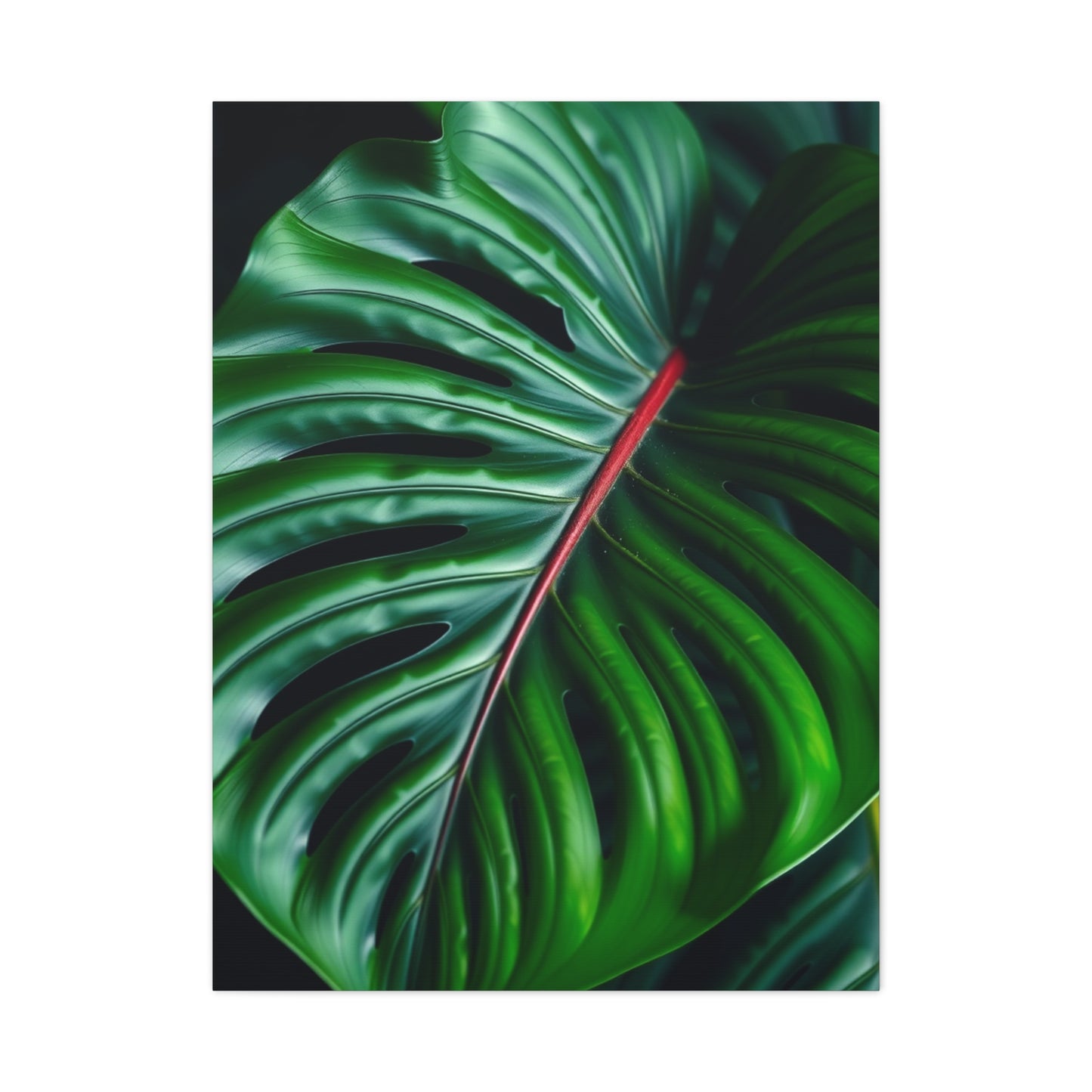Monstera Plant Art Supreme Gallery Wall Art & Canvas Print