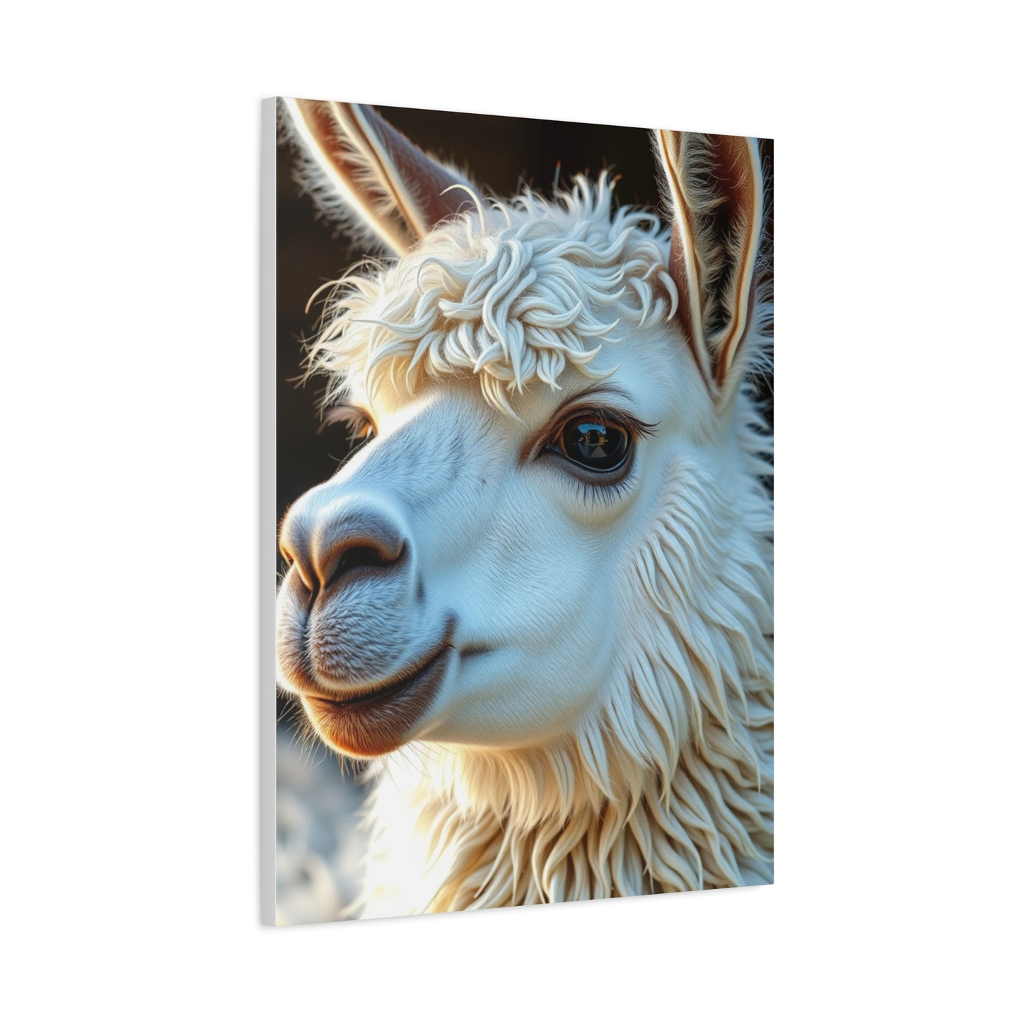 Llama & Alpaca Art Luxury Canvas Wall Art & Canvas Print