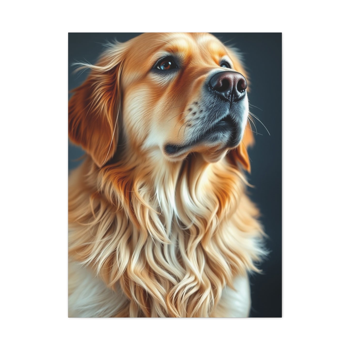 Golden Retriever Art Luxury Canvas Wall Art & Canvas Print
