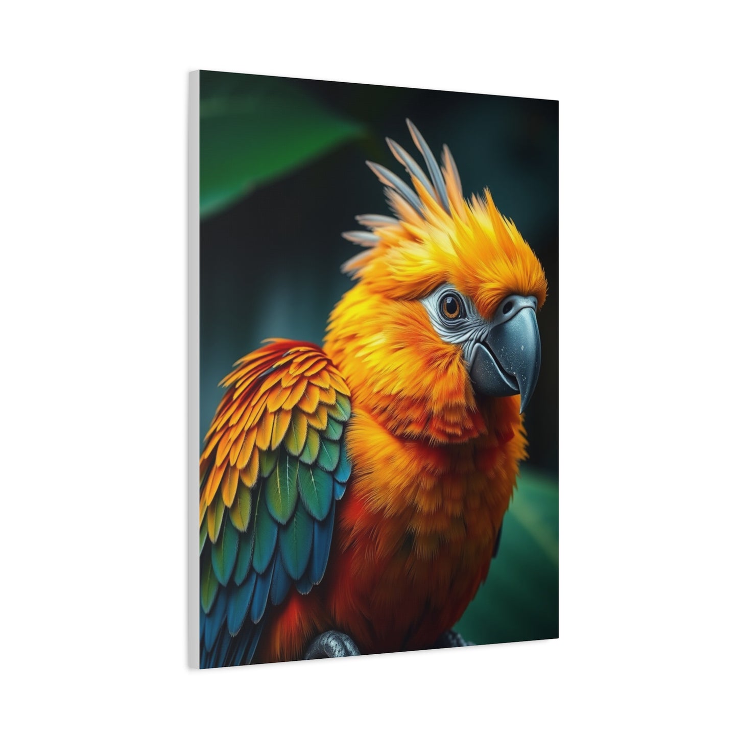 Supreme Tropical Birds Art Collection Wall Art & Canvas Print