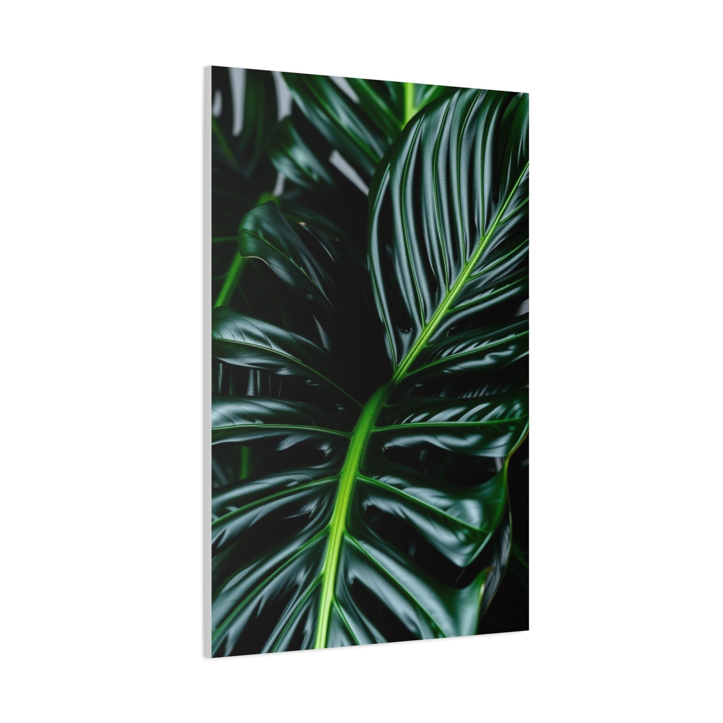 Monstera Plant Art Refined Canvas Wall Art & Canvas Print