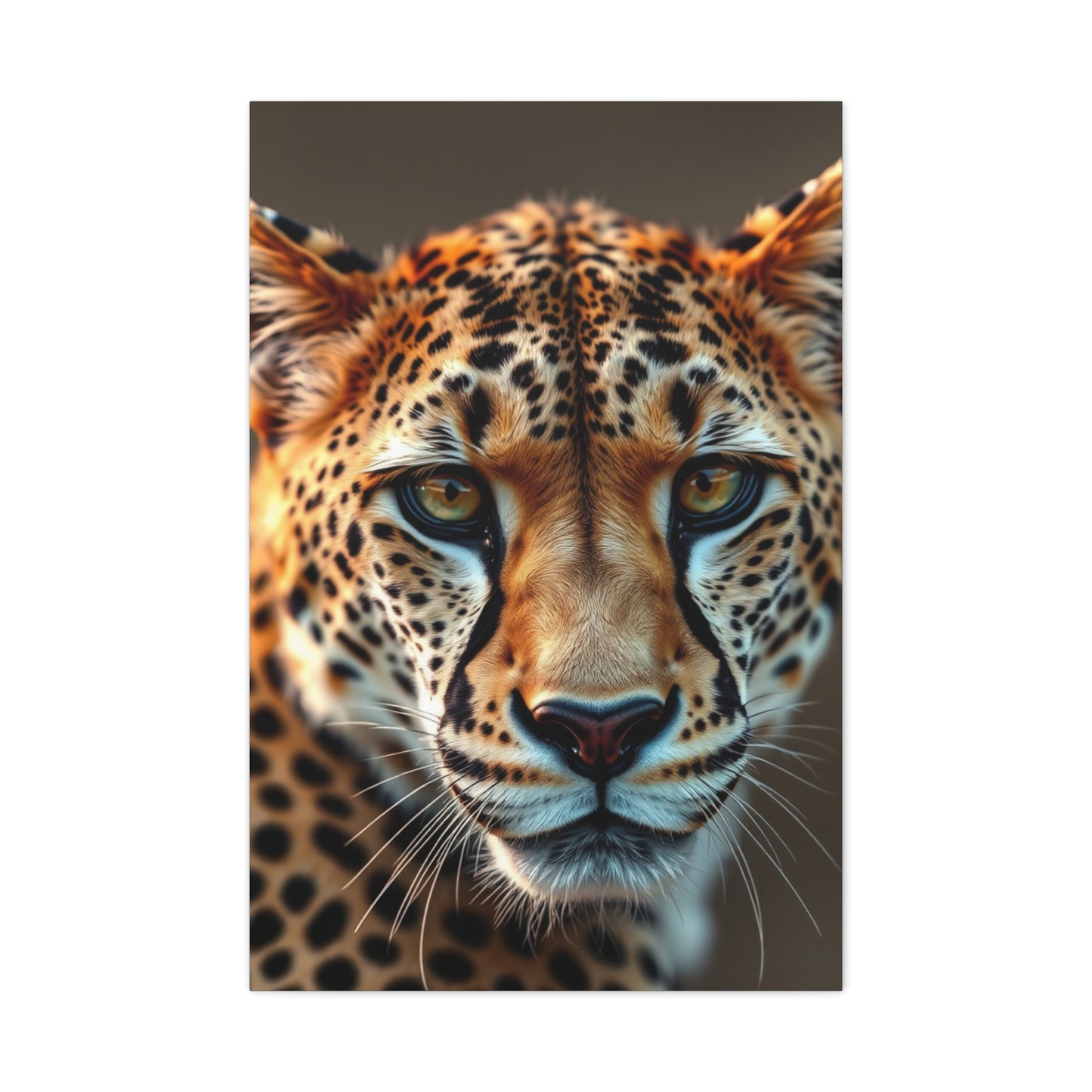 Supreme Cheetah Art Collection Wall Art & Canvas Print