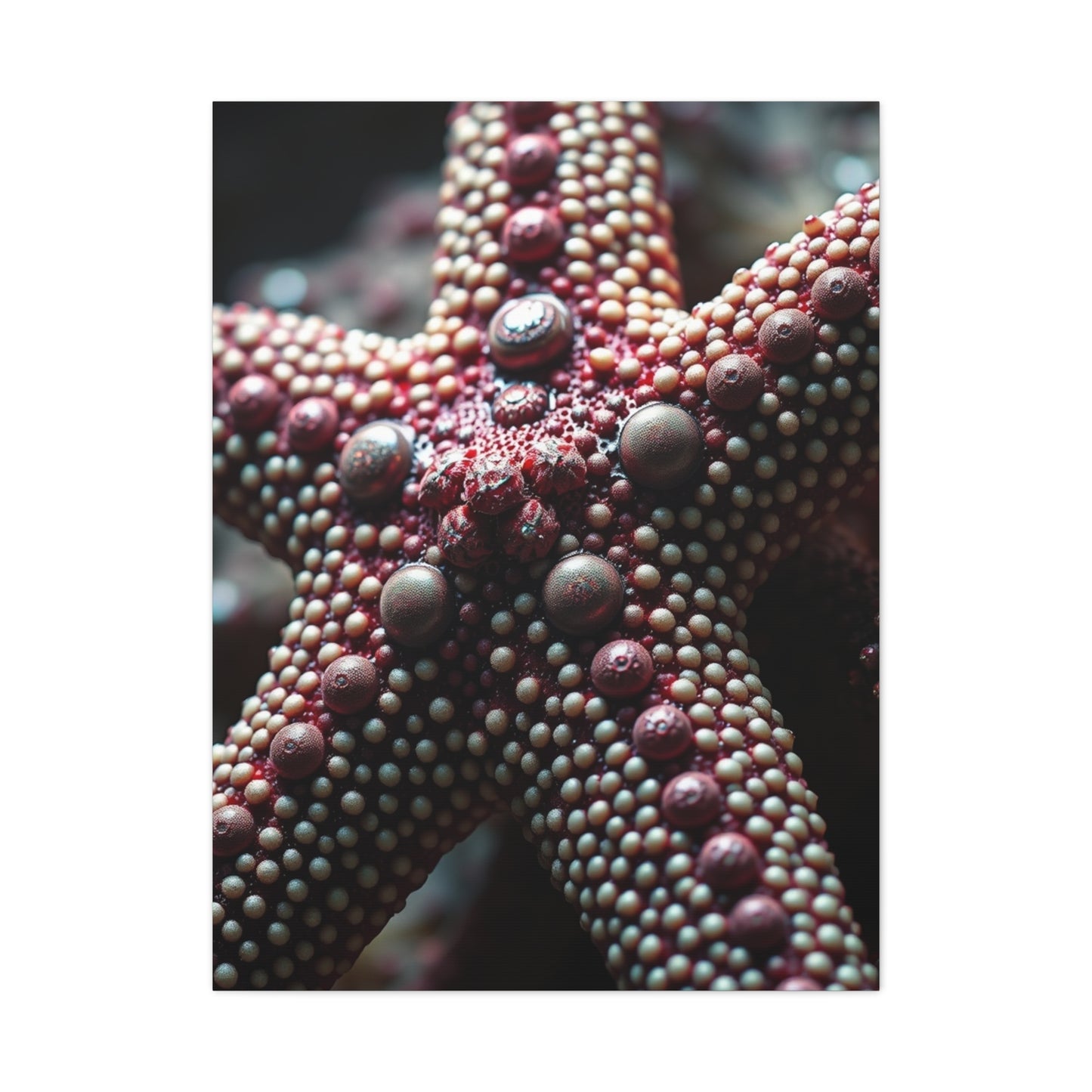 Starfish Art Luxury Canvas Wall Art & Canvas Print