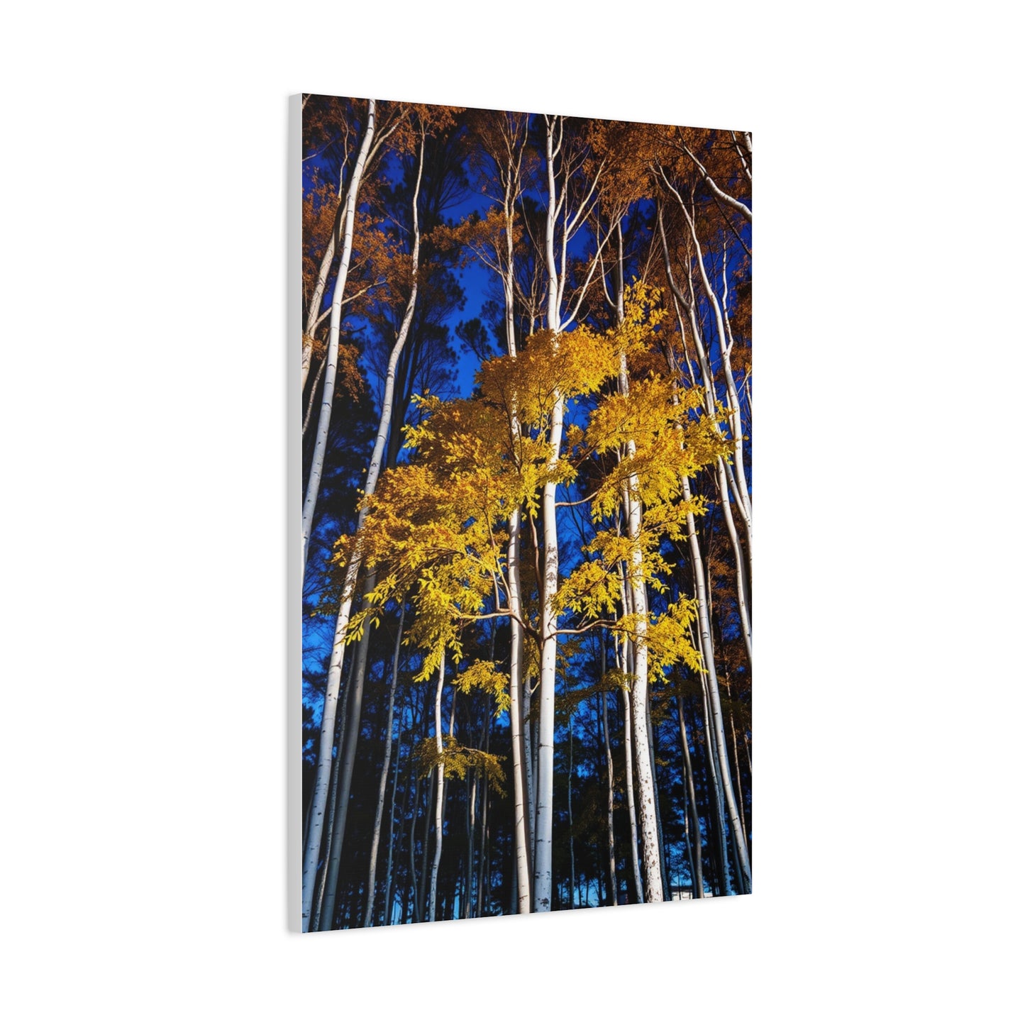 Vision Aspen Tree Art Art Wall Art & Canvas Print