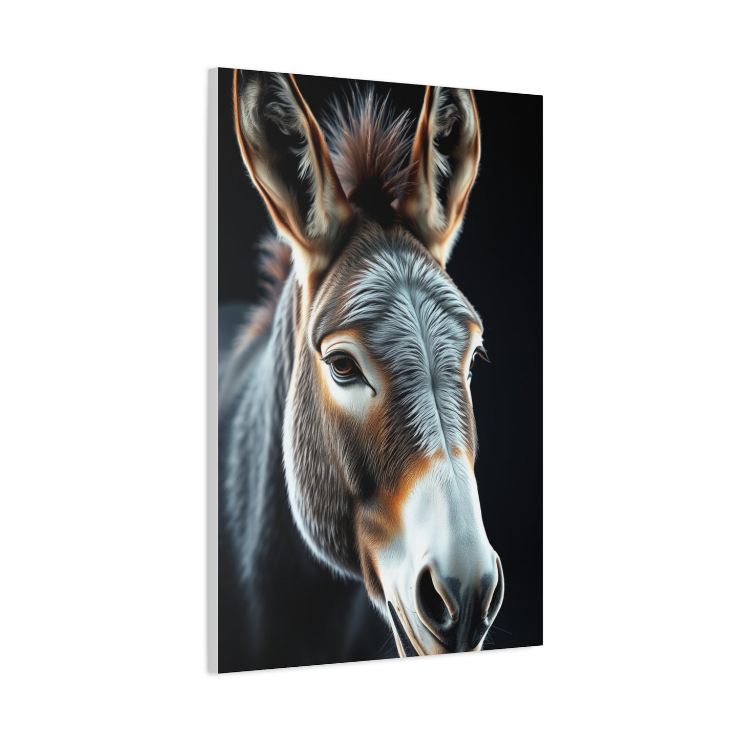 Supreme Donkey Art Collection Wall Art & Canvas Print