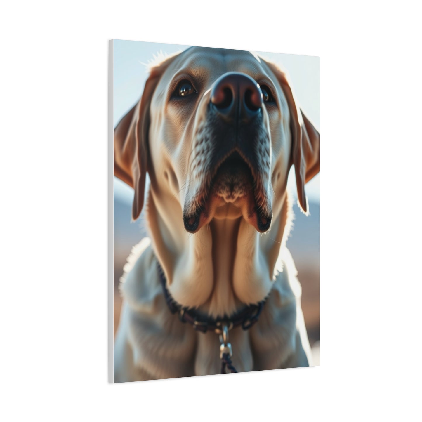 Supreme Labrador Retriever Art Collection Wall Art & Canvas Print