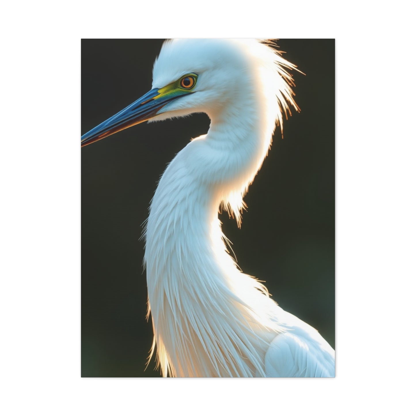 Supreme Egret Art Collection Wall Art & Canvas Print