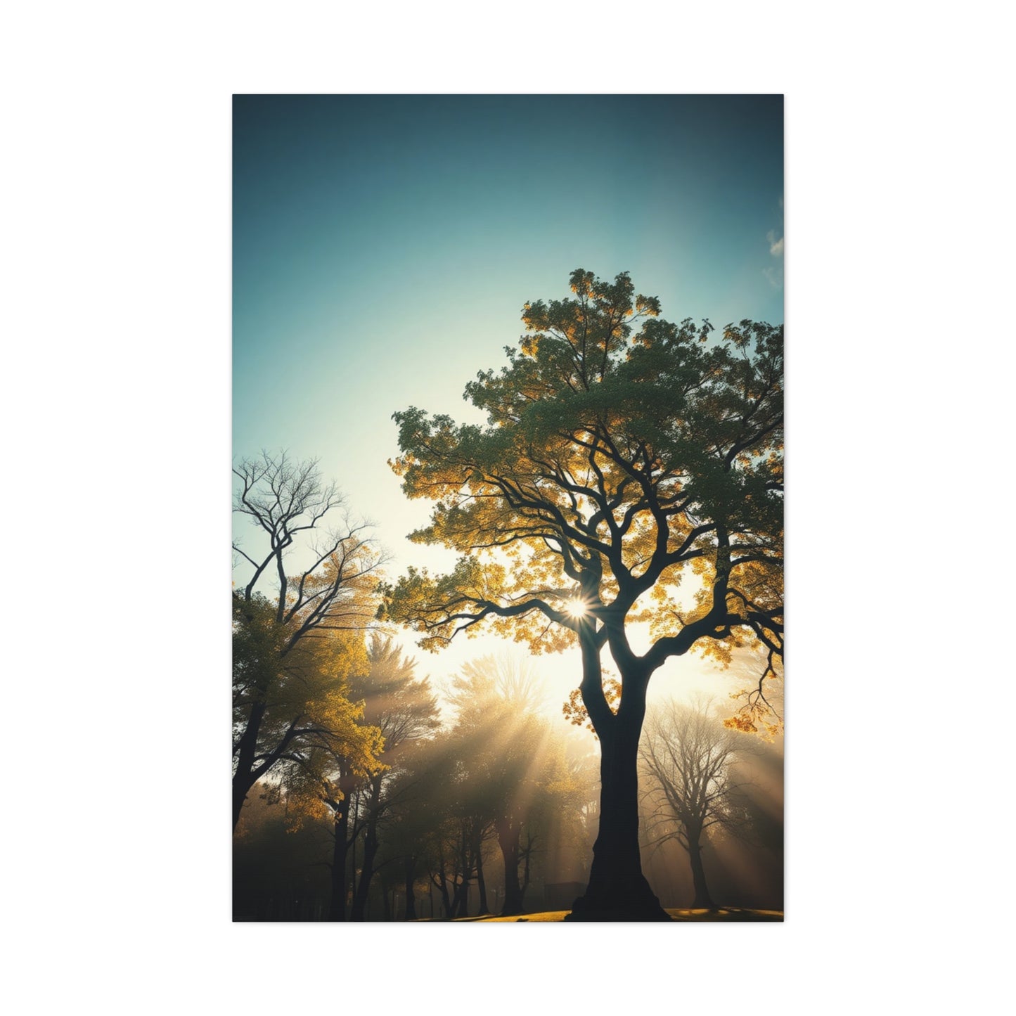 Serene Timberland Canvas Wall Art & Canvas Print