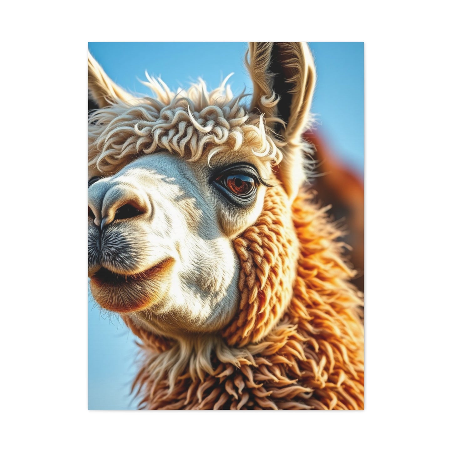 Supreme Llama & Alpaca Art Collection Wall Art & Canvas Print