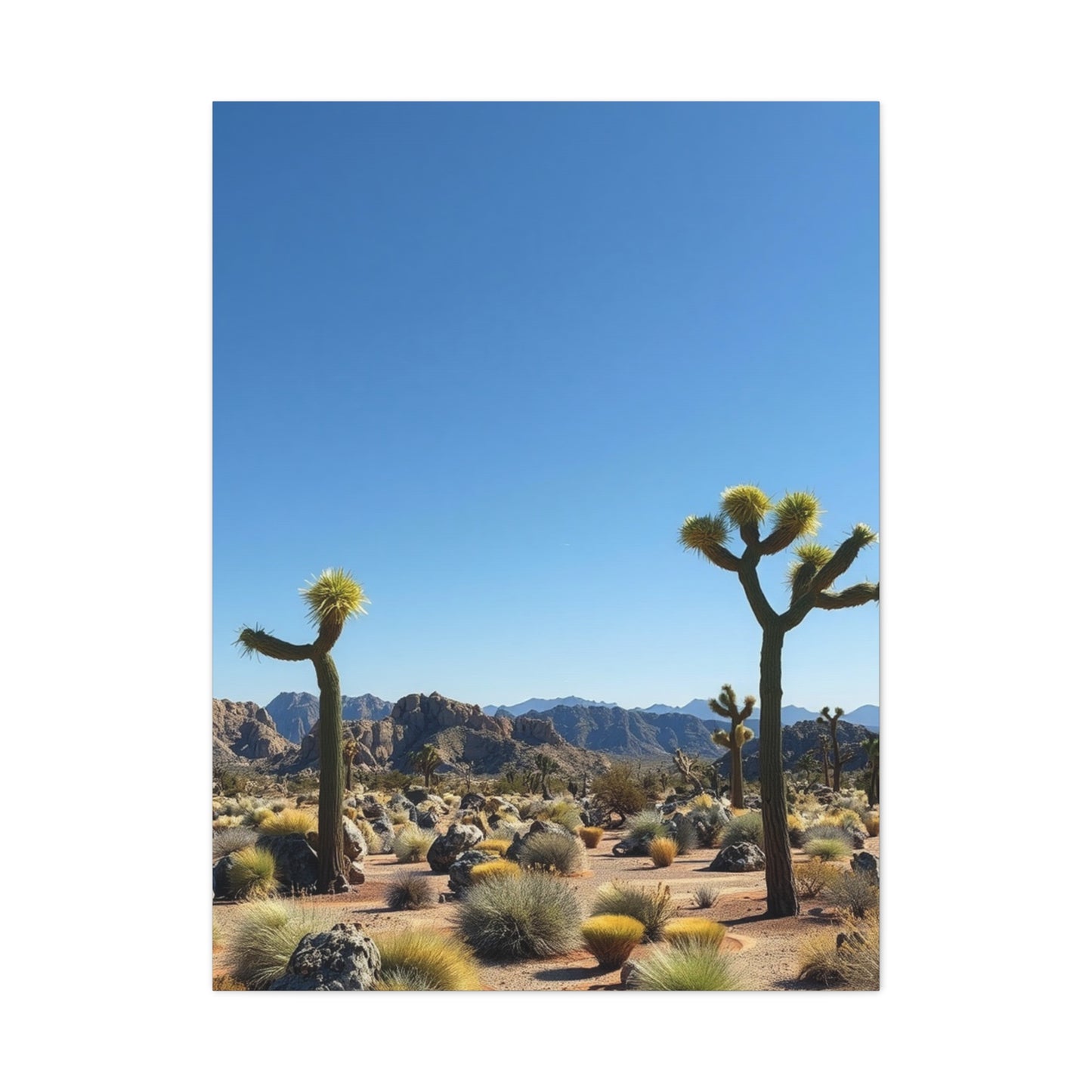 Vision Joshua Tree National Park Art Art Wall Art & Canvas Print