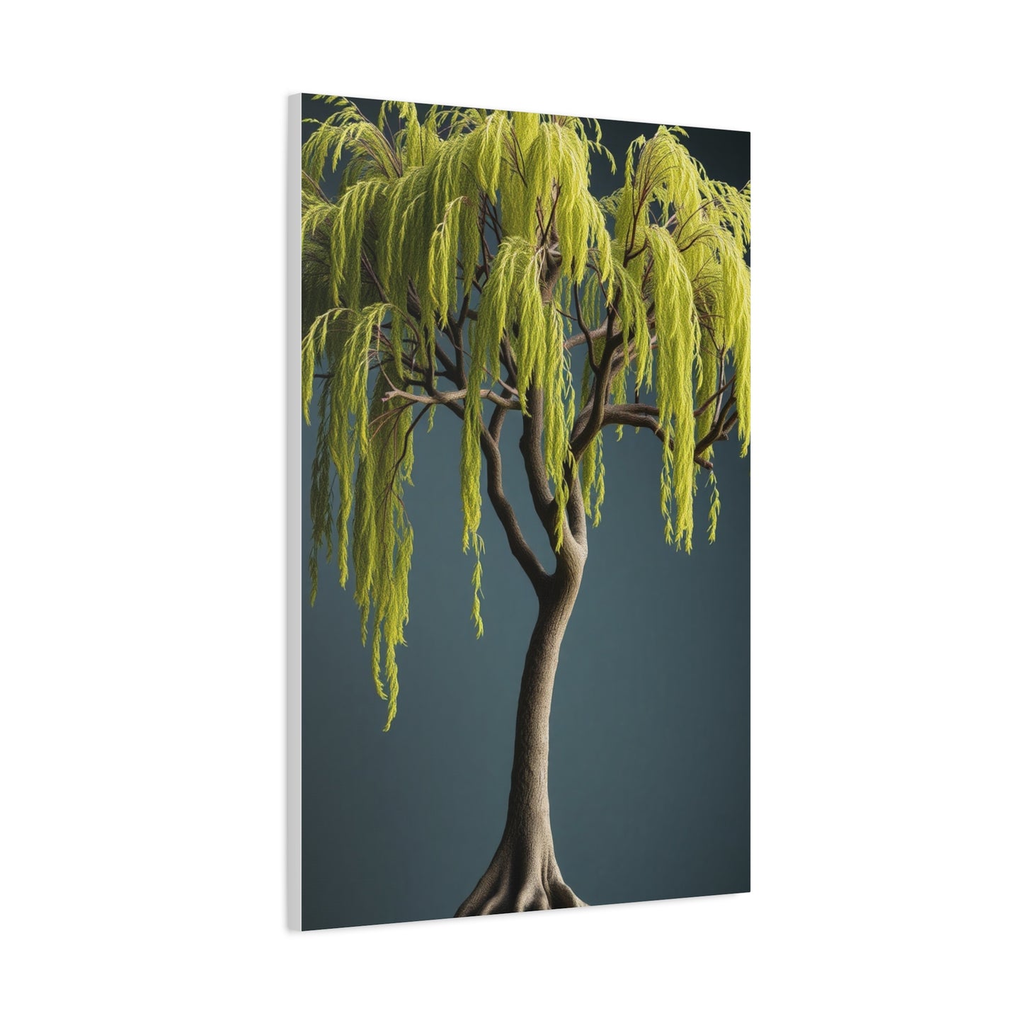 Willow Tree Art Luxury Canvas Wall Art & Canvas Print