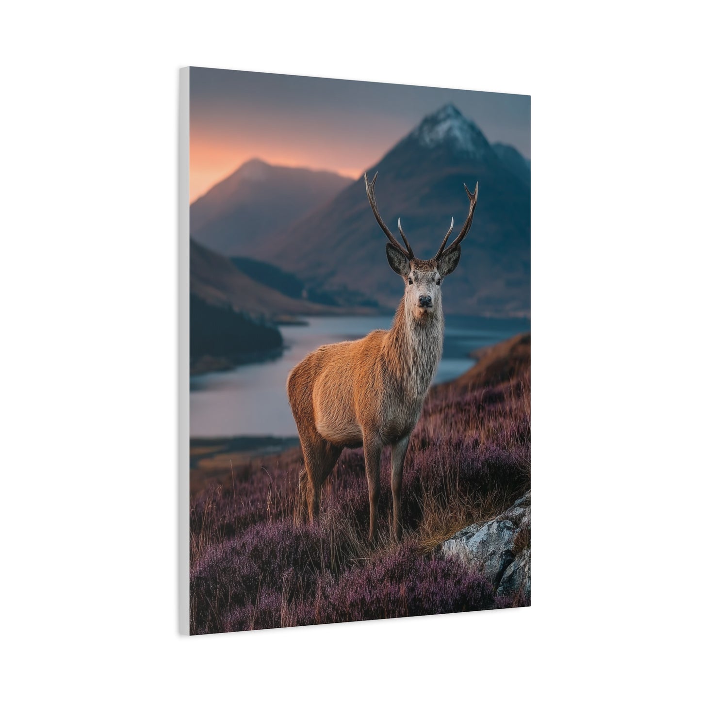 Scottish Highland Sunrise Stag Wall Art & Canvas Print