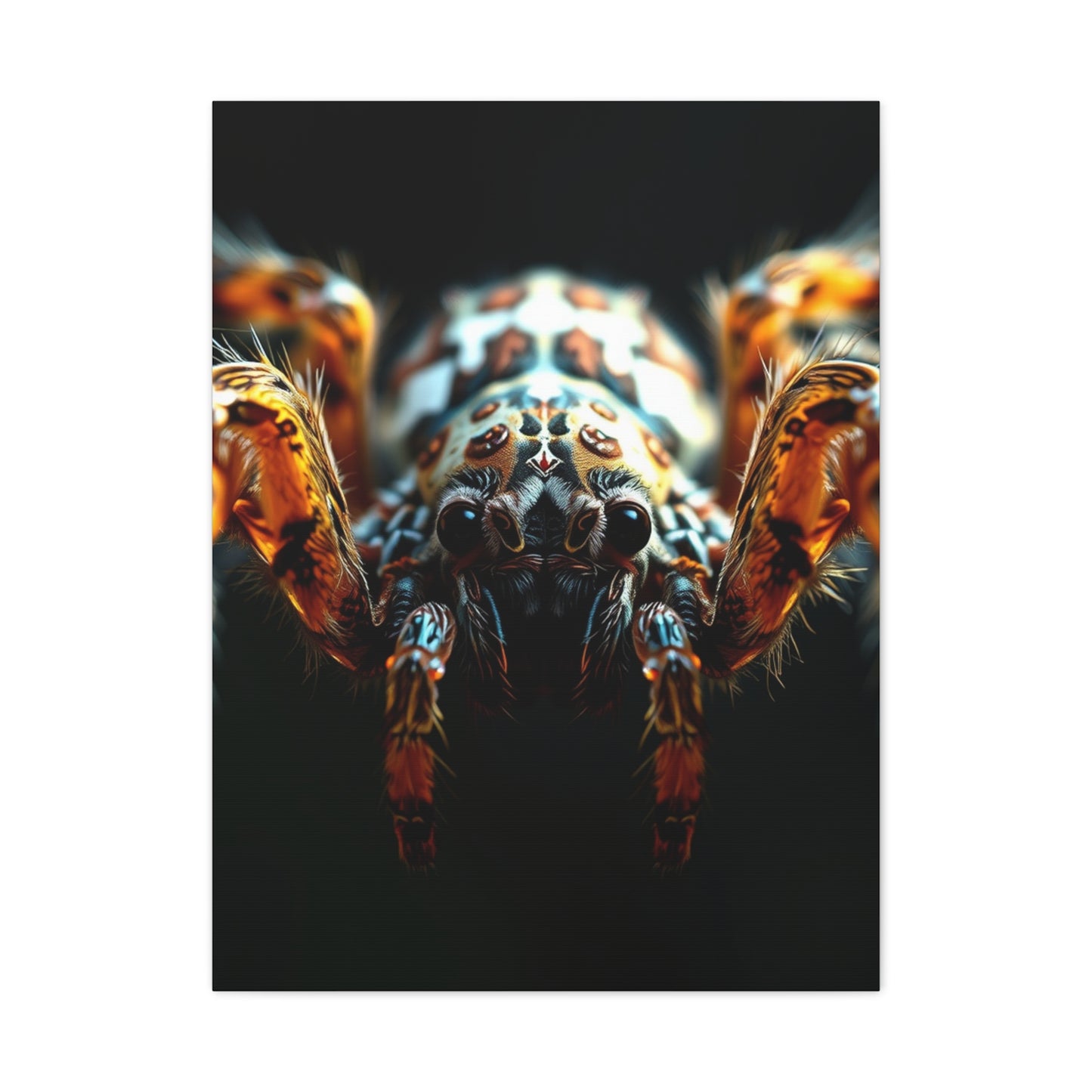 Arachnid Elegance Canvas Wall Art & Canvas Print