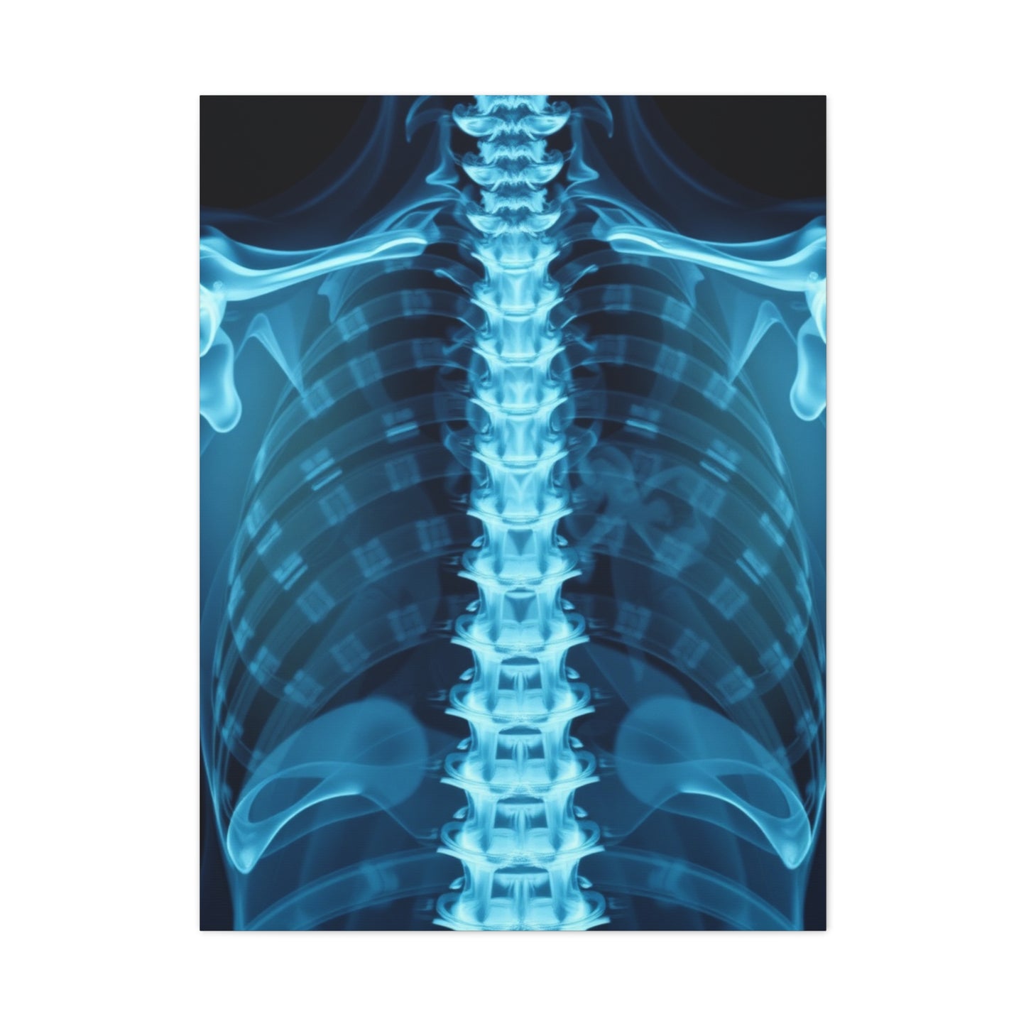 X-Ray Photography Art Supreme Gallery Wall Art & Canvas Print