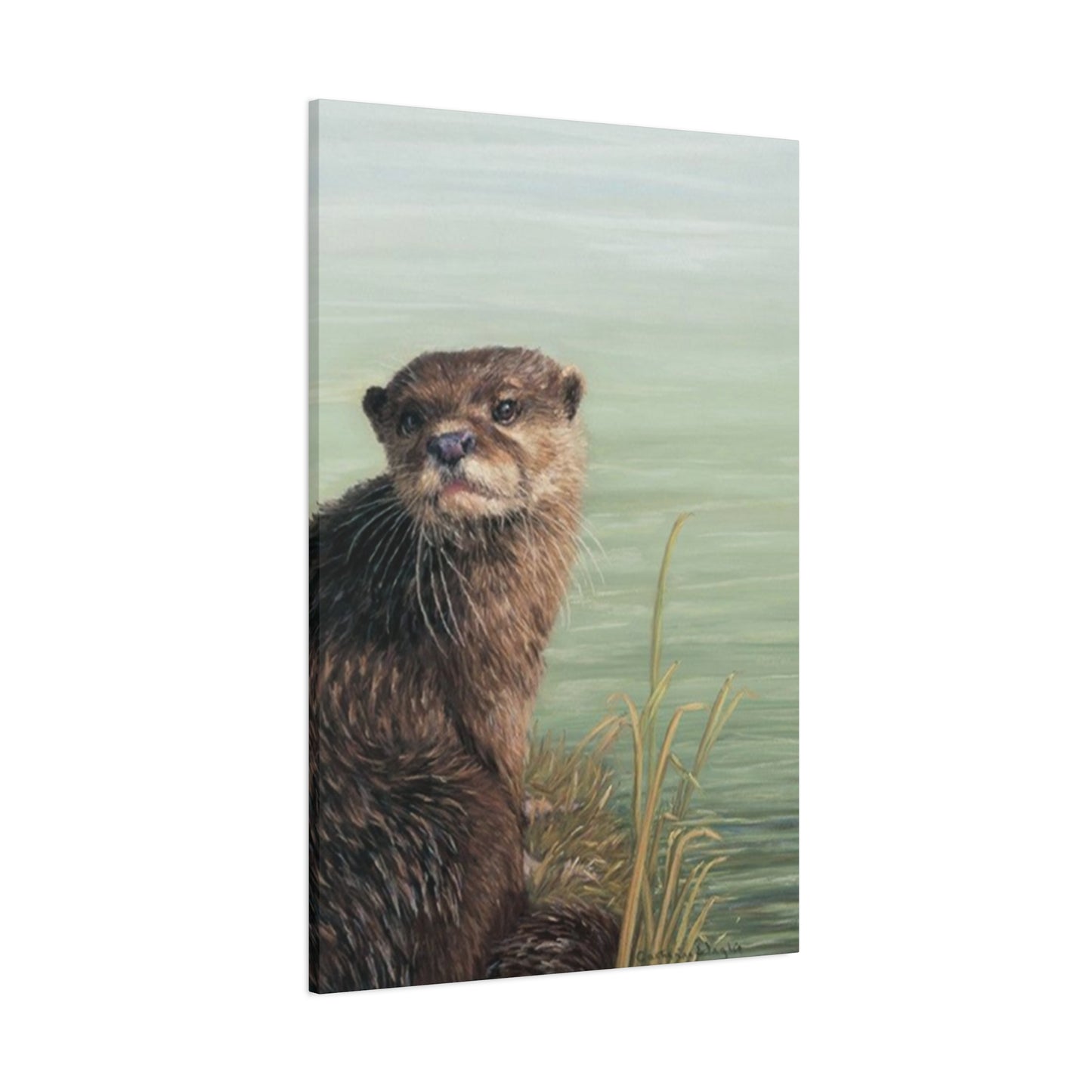 Otter Wall Art & Canvas Prints