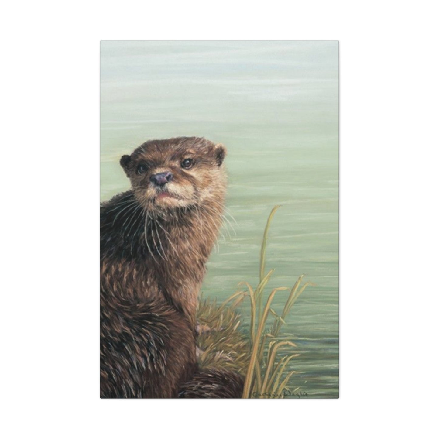 Otter Wall Art & Canvas Prints