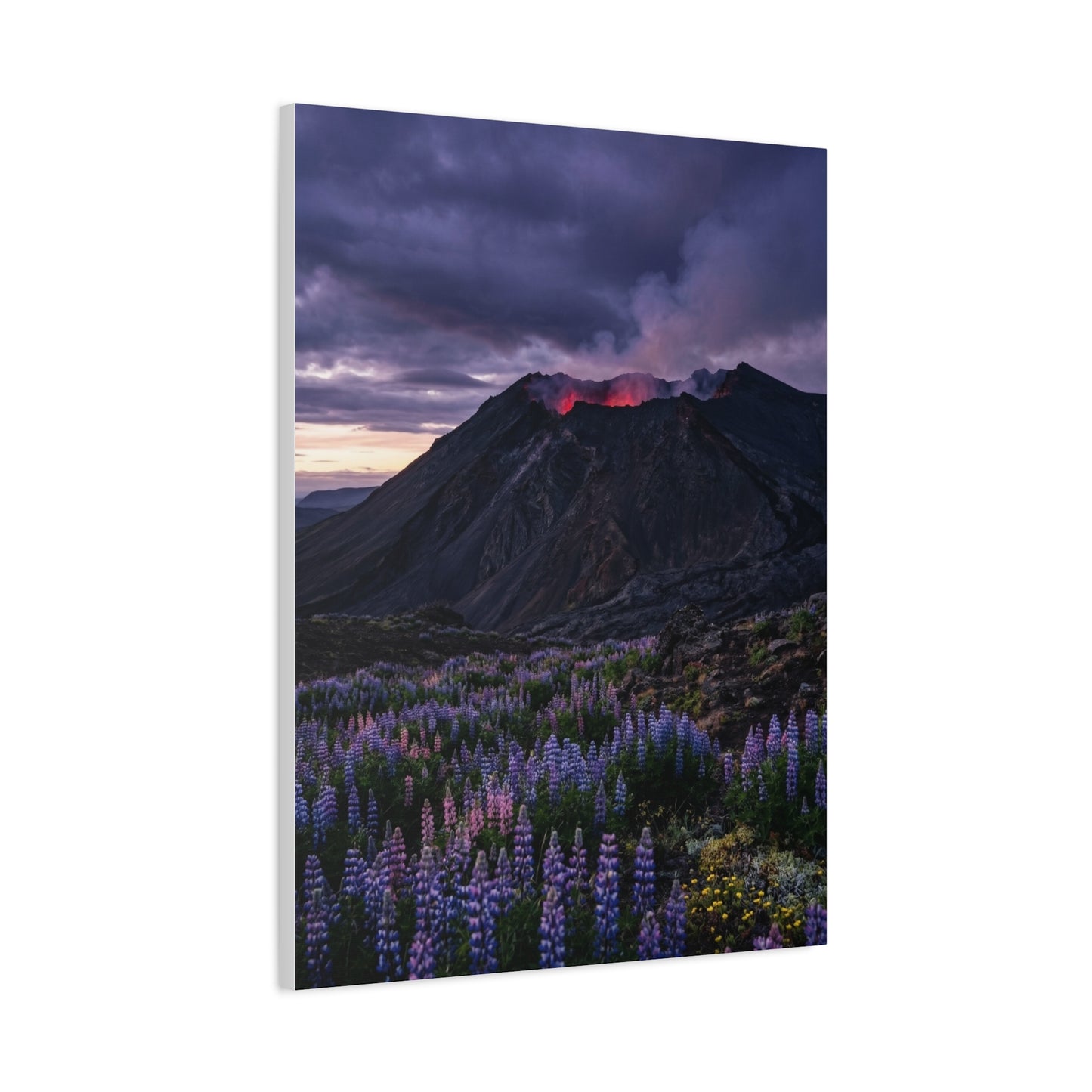 Volcanic Twilight & Wild Lupines Wall Art & Canvas Print